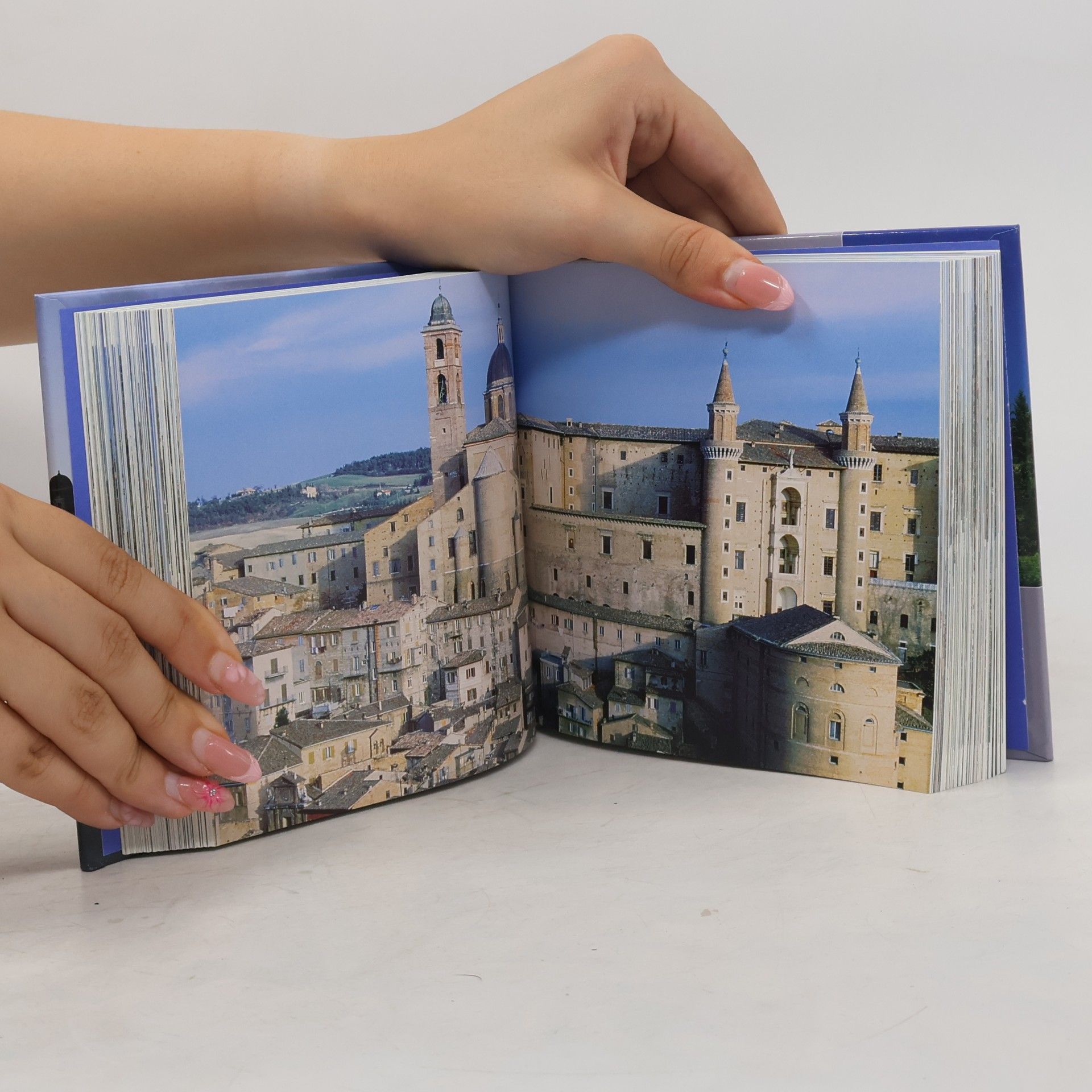 Bayle Francoise Hrady, zámky, paláce: 1001 fotografií