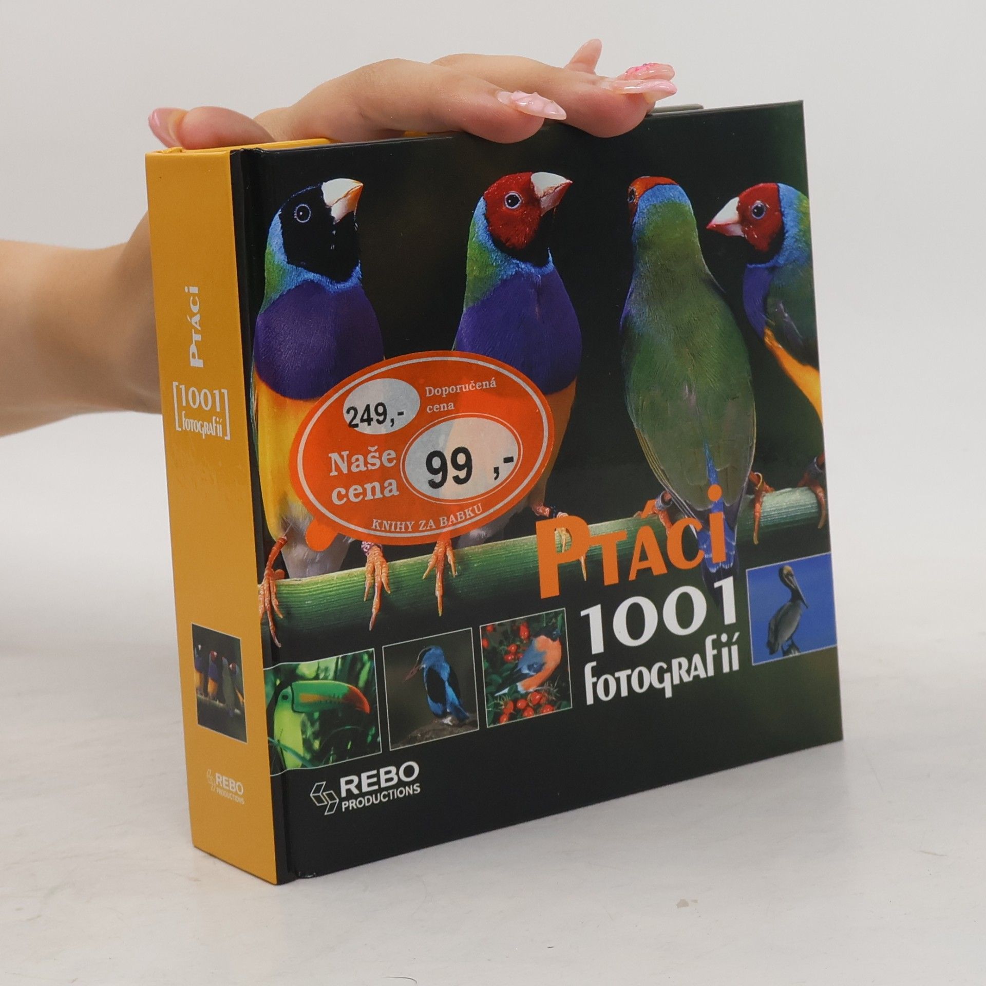 Michel Viard Ptáci. 1001 fotografií