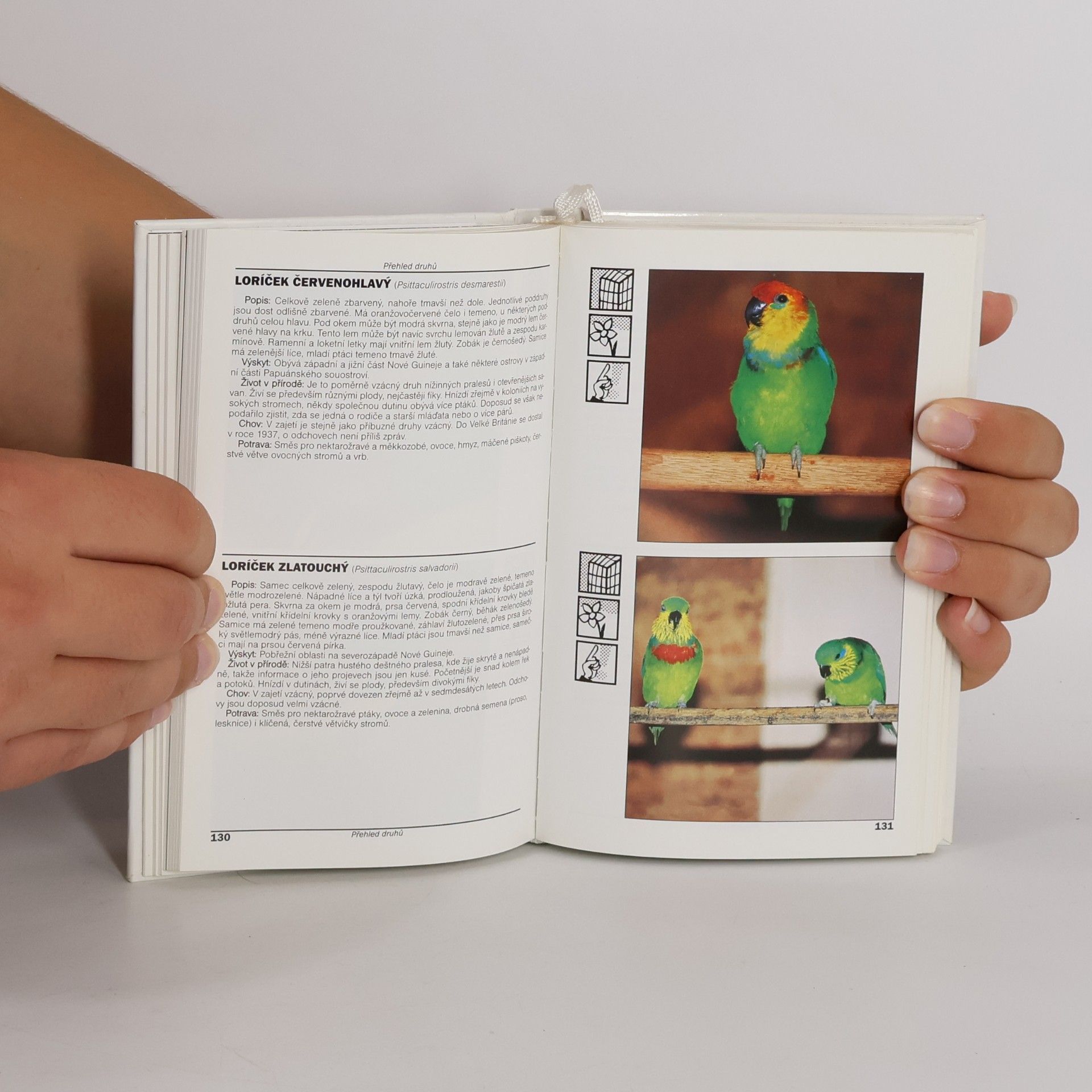 Martin Smrček Kapesní atlas exotických ptáků