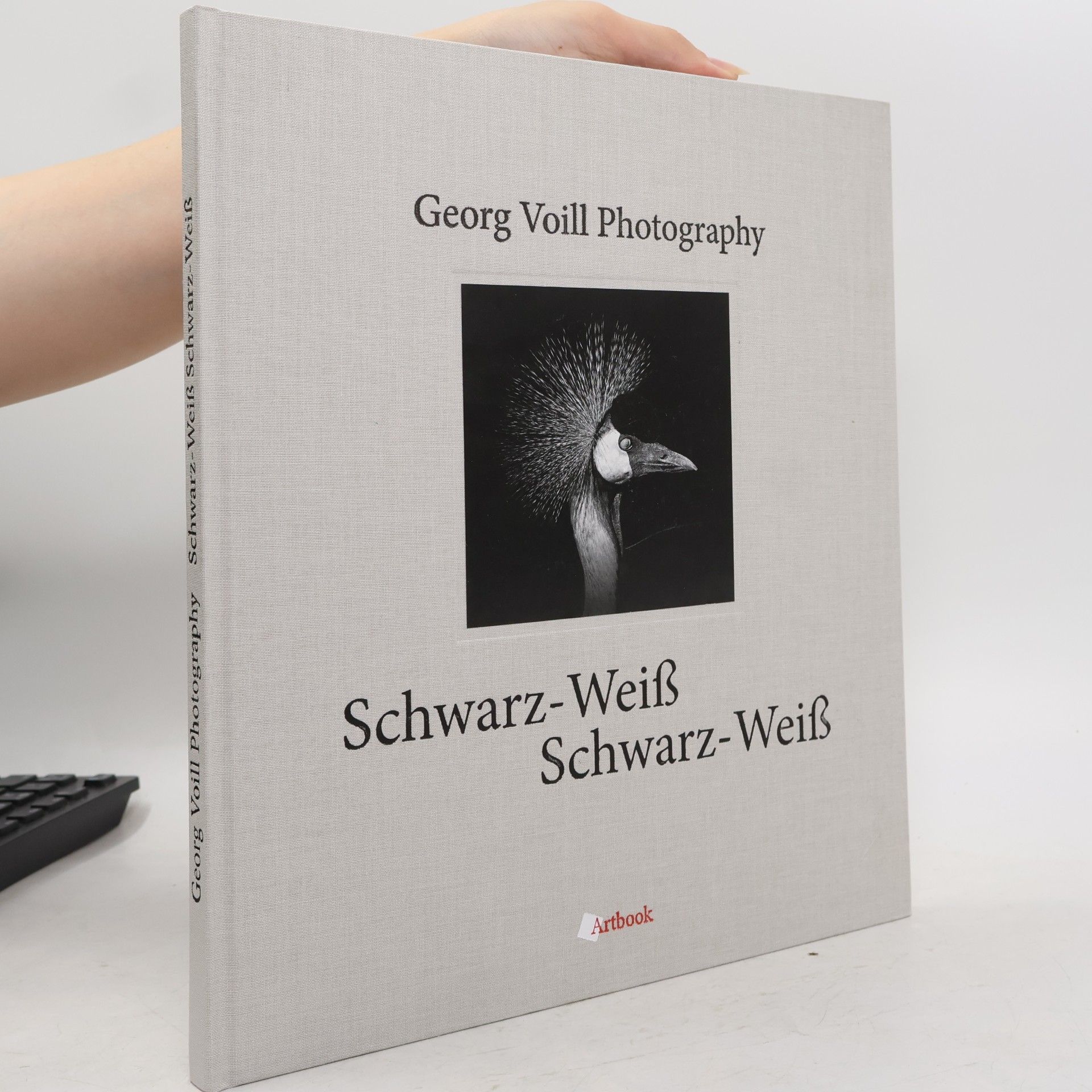 Georg Voill Schwarz-Weiß Schwarz-Weiß