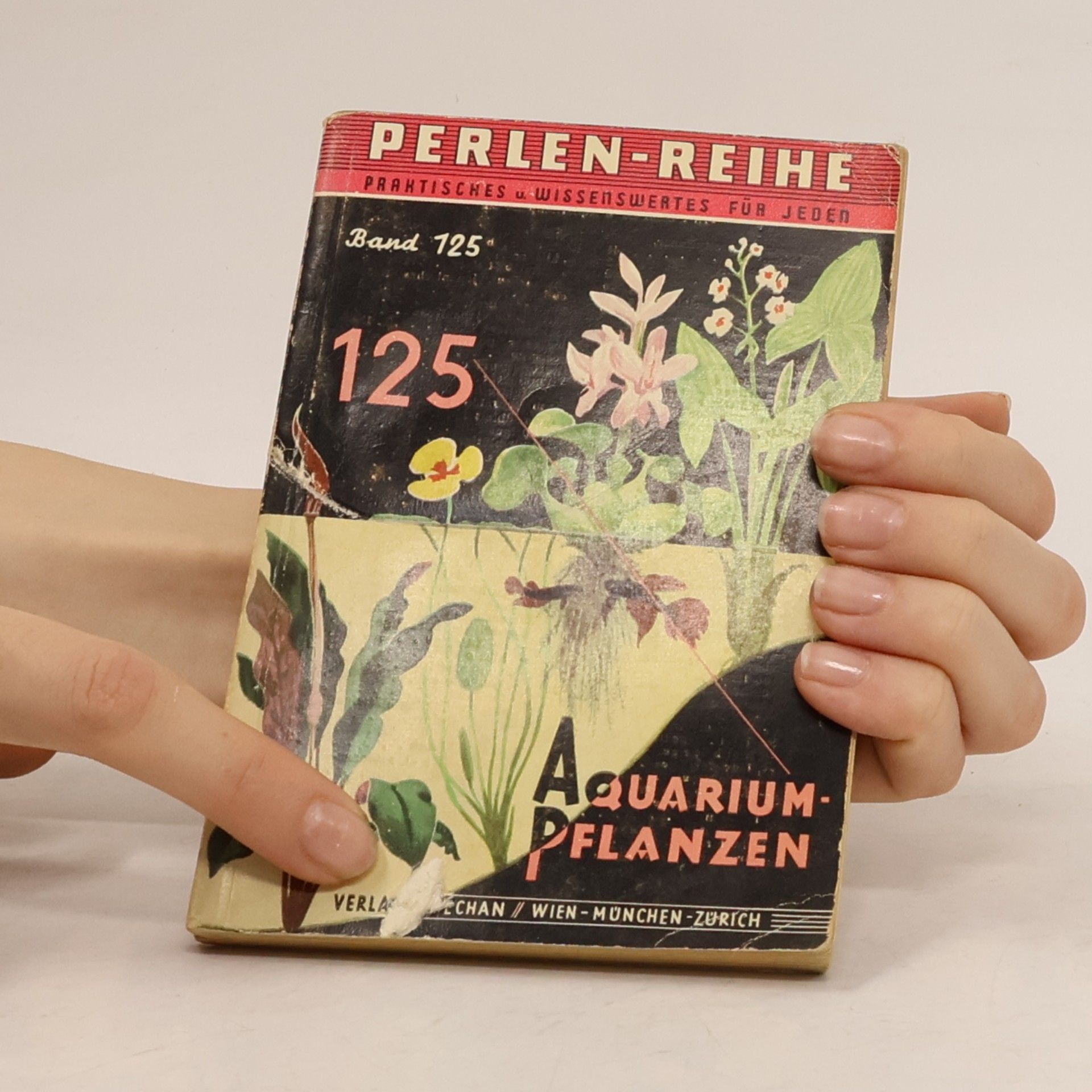 Gert Schneider Aquarium Pflanzen