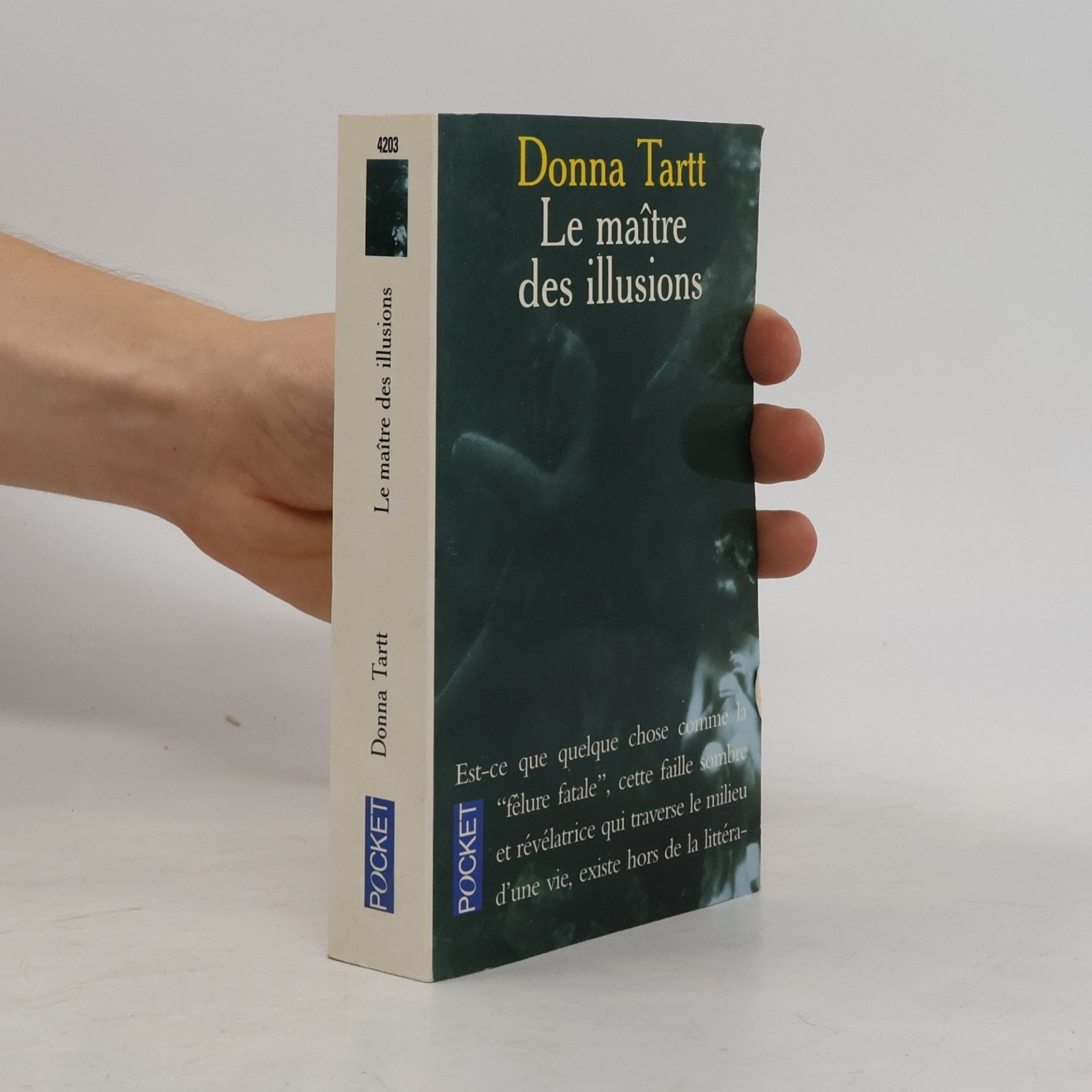 Donna Tartt Le Maître des illusions