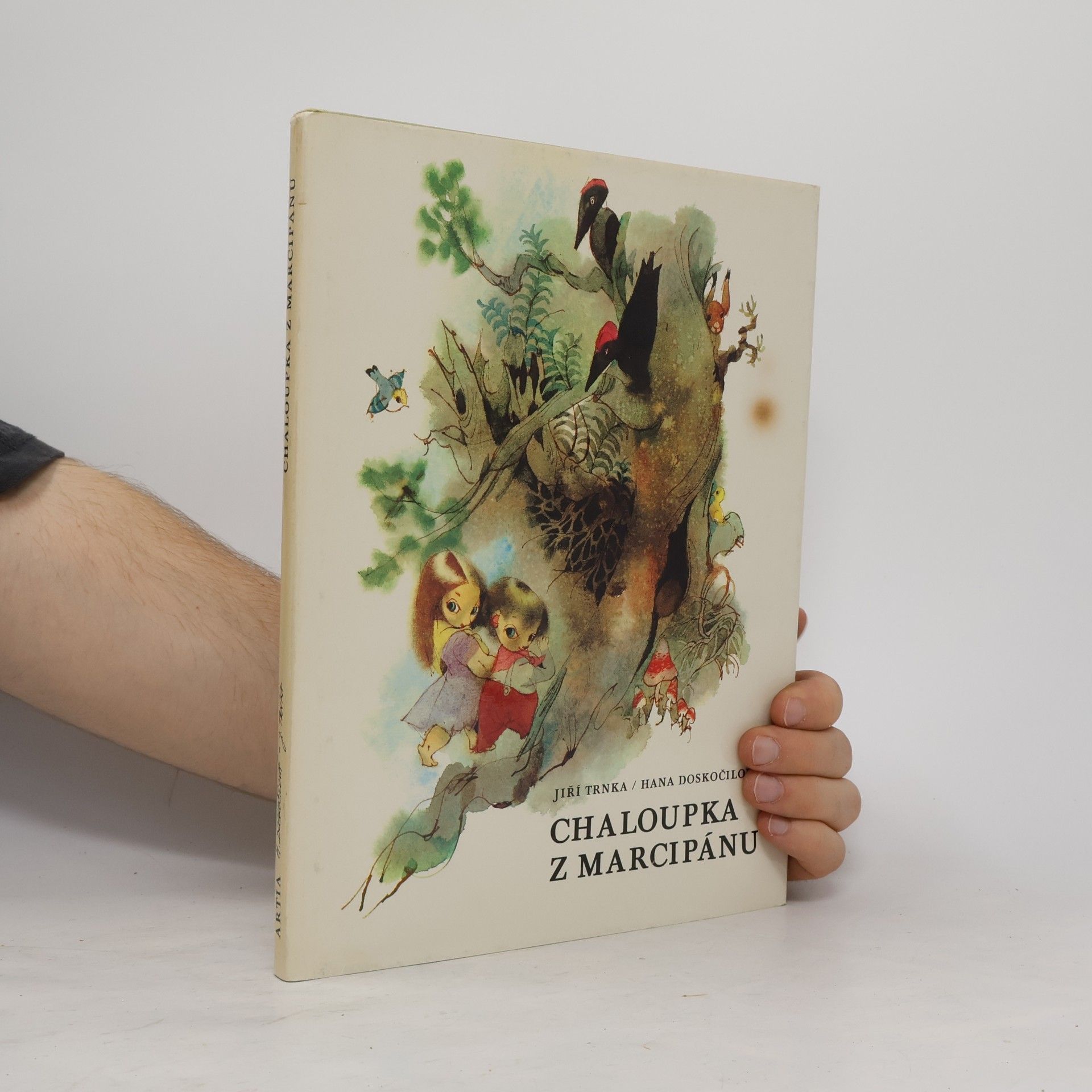 Hana Doskočilová Chaloupka z marcipánu