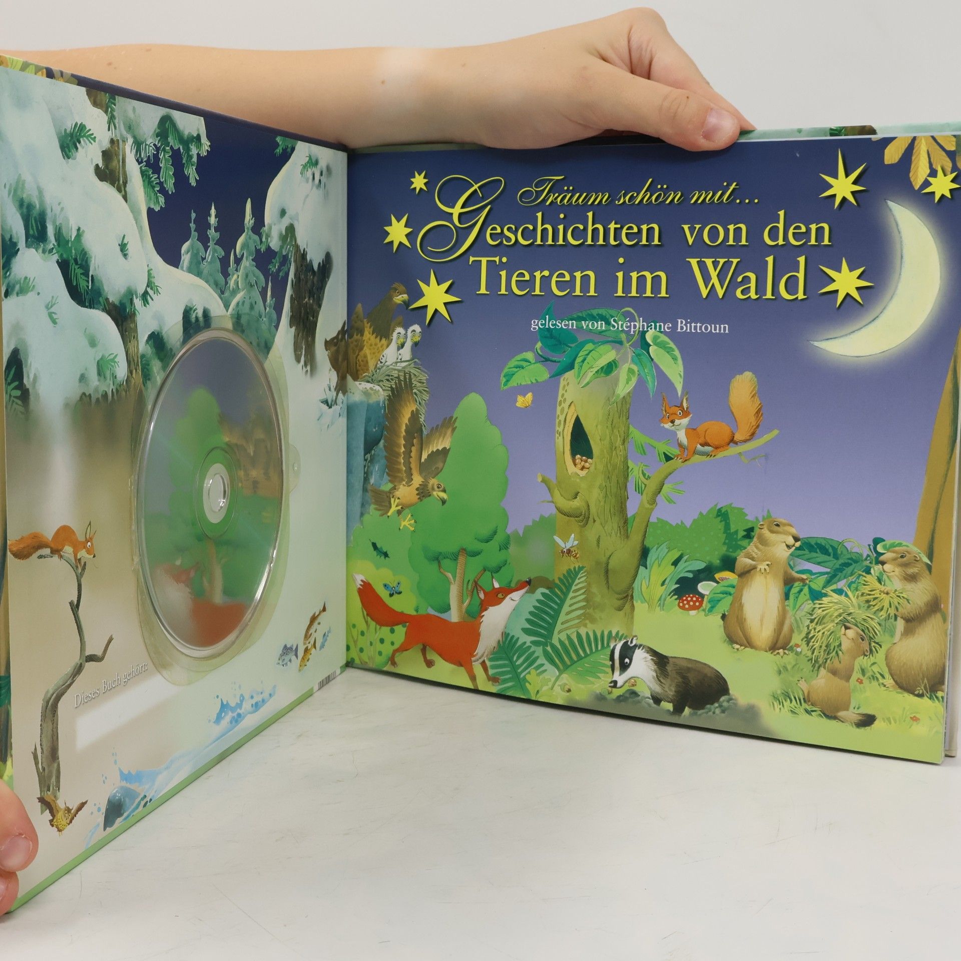 Autorenkollektiv Träum schön mit... Geschichten von den Tieren im Wald