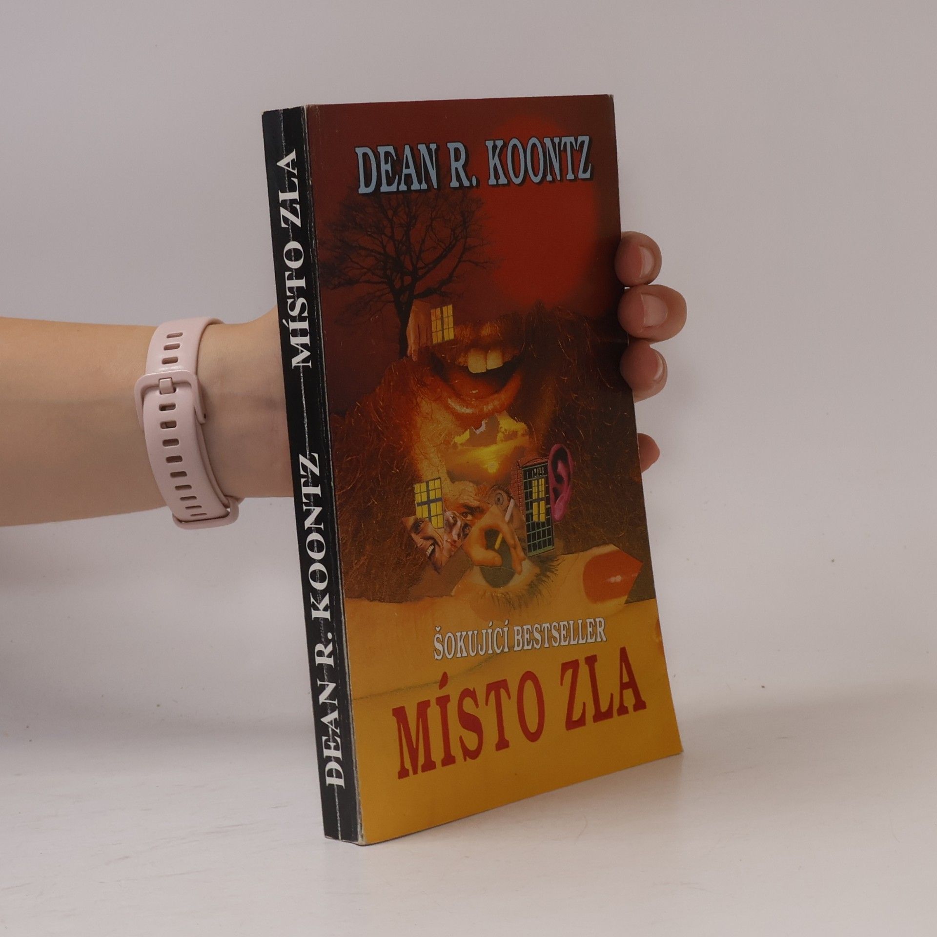 Dean Ray Koontz Místo zla