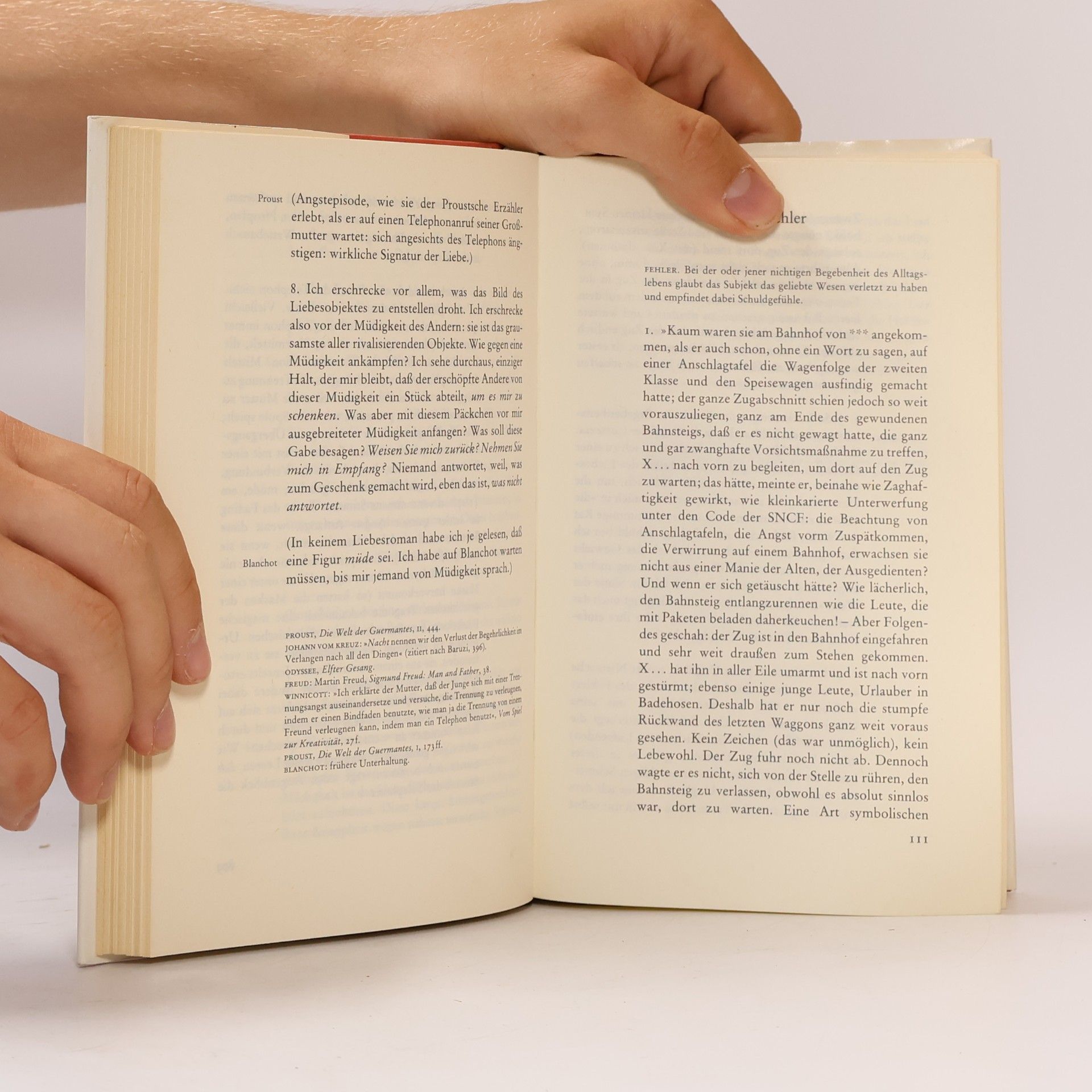 Roland Barthes Fragmente einer Sprache der Liebe