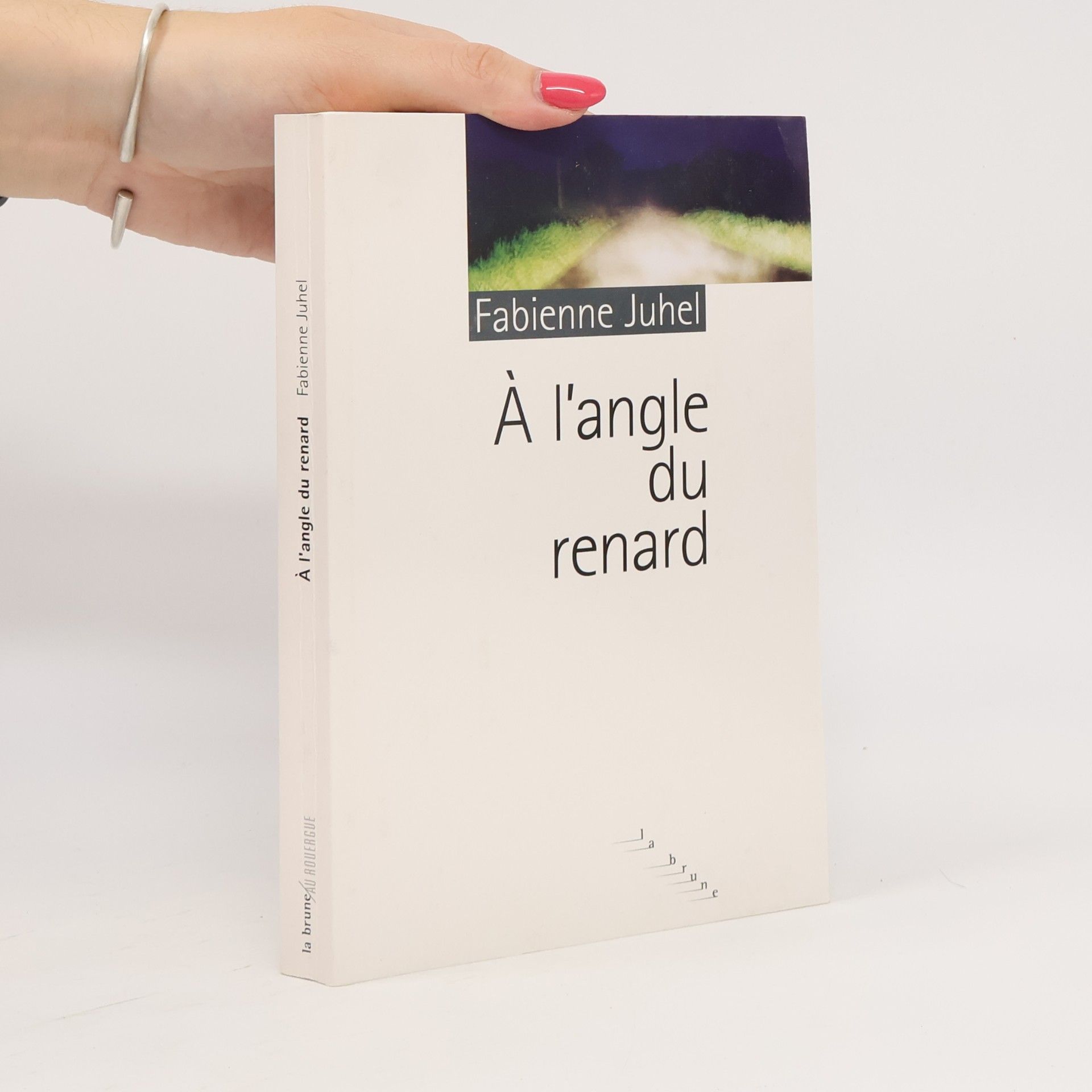 Fabienne Juhel A l'angle du Renard