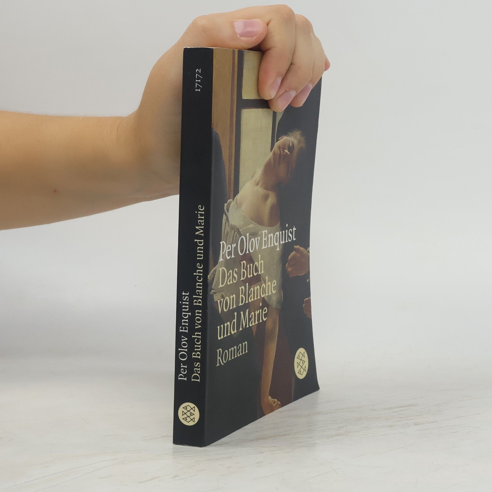 Per Olov Enquist Das Buch von Blanche und Marie