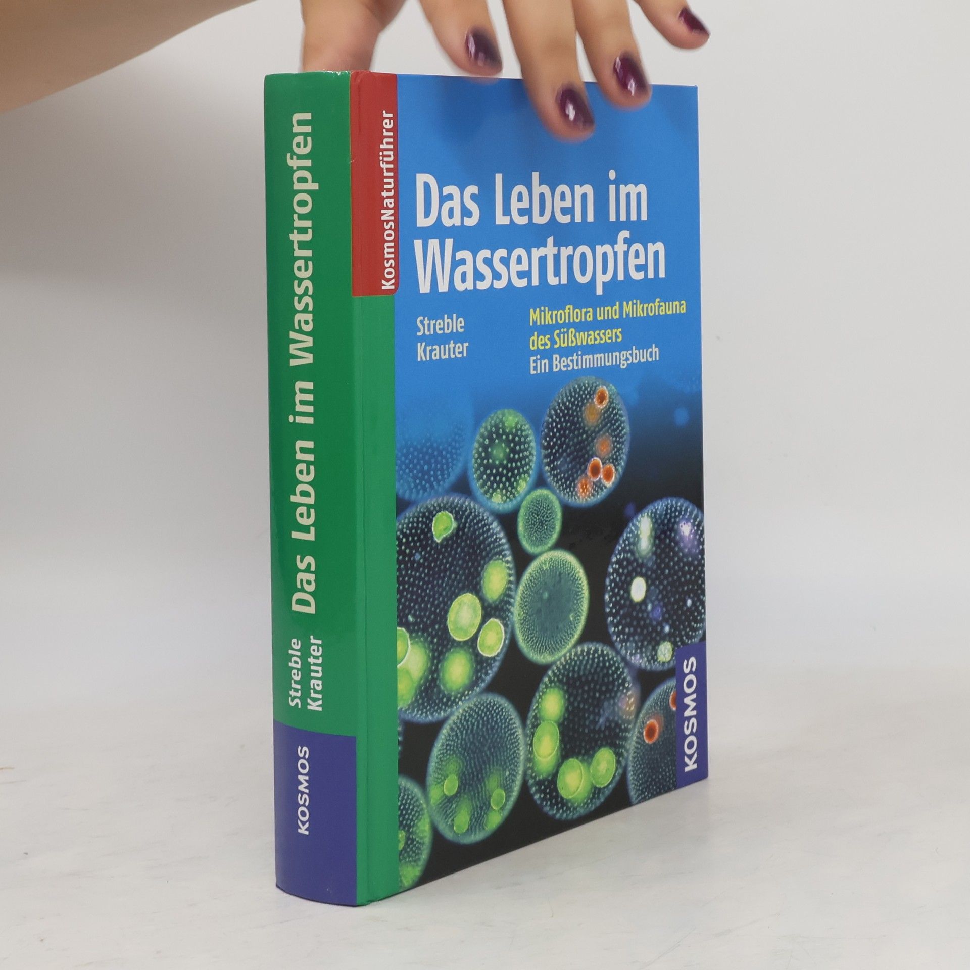 Das Leben im Wassertropfen
