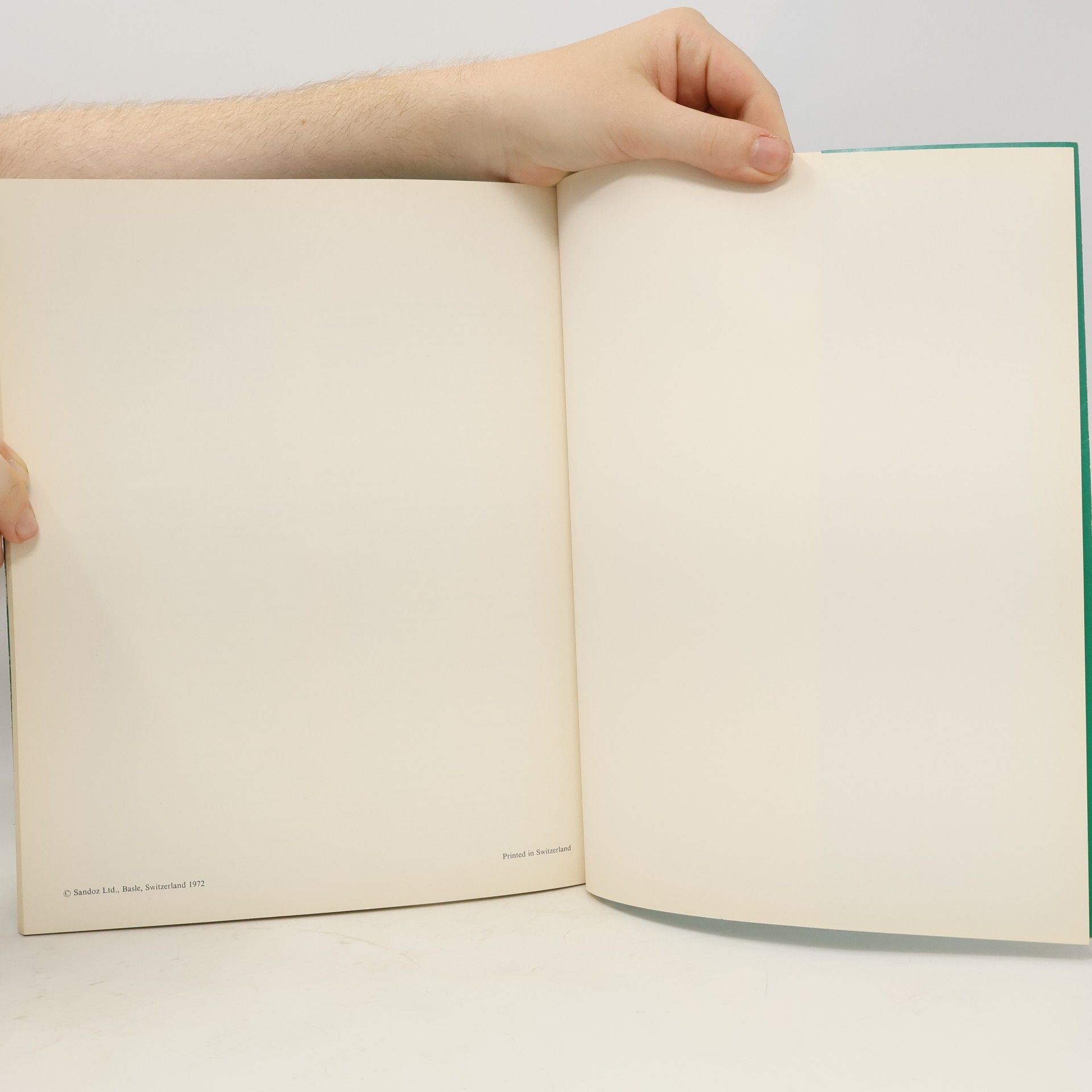 Kolektiv autorů A Synopsis of the Vestibular System