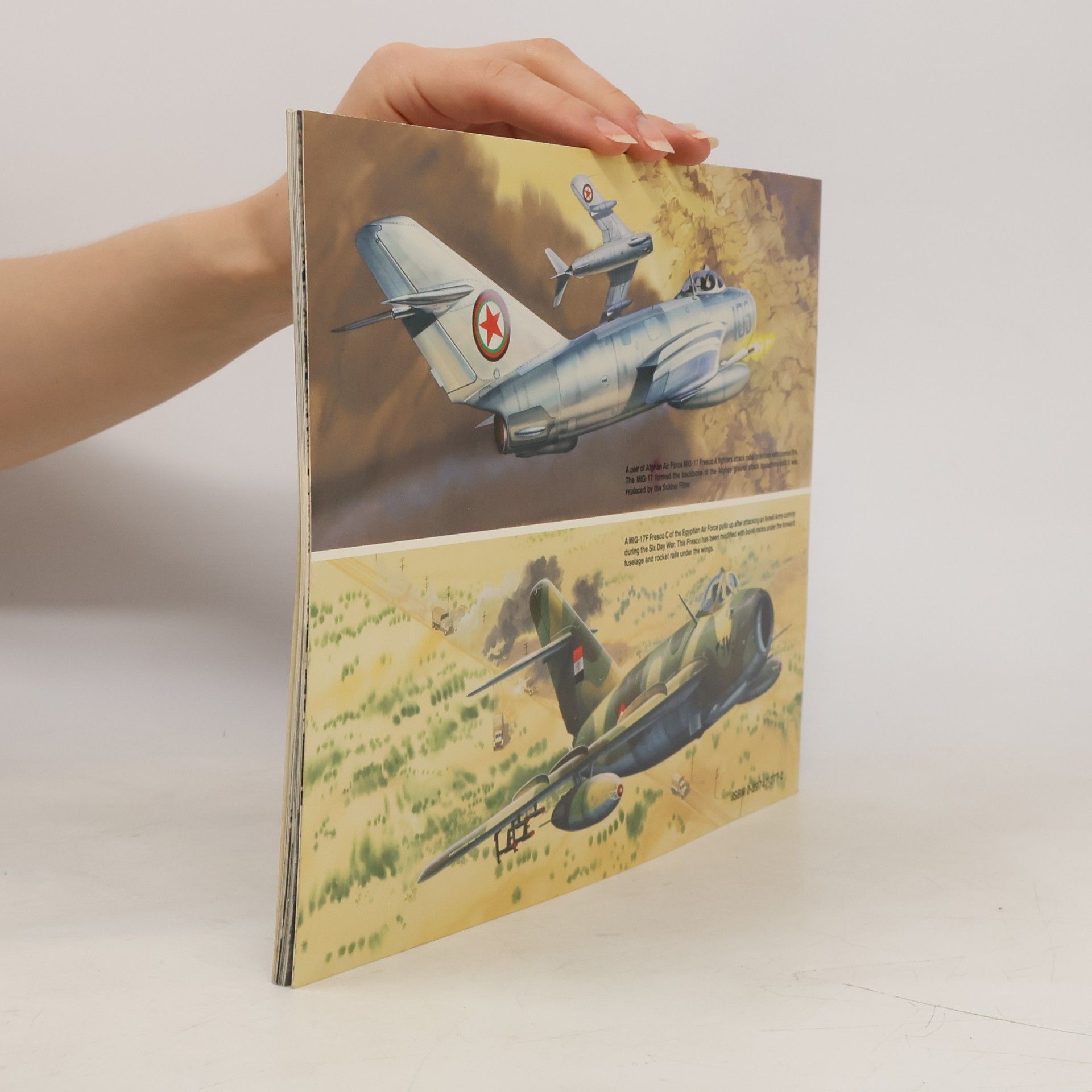 Don Greer MiG-17 Fresco in action