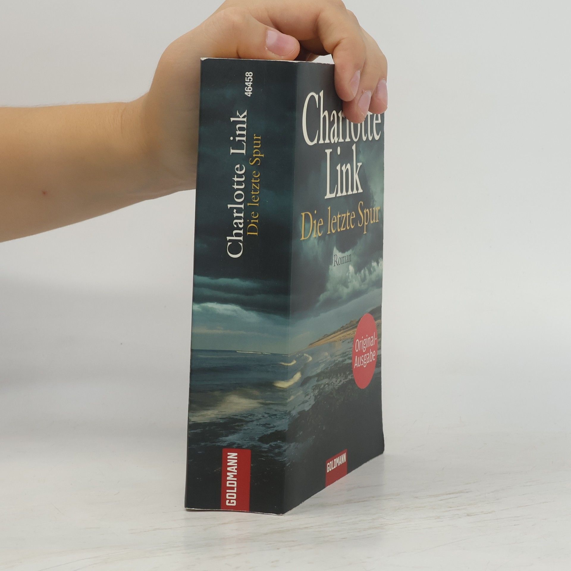 Charlotte Link Die letzte Spur