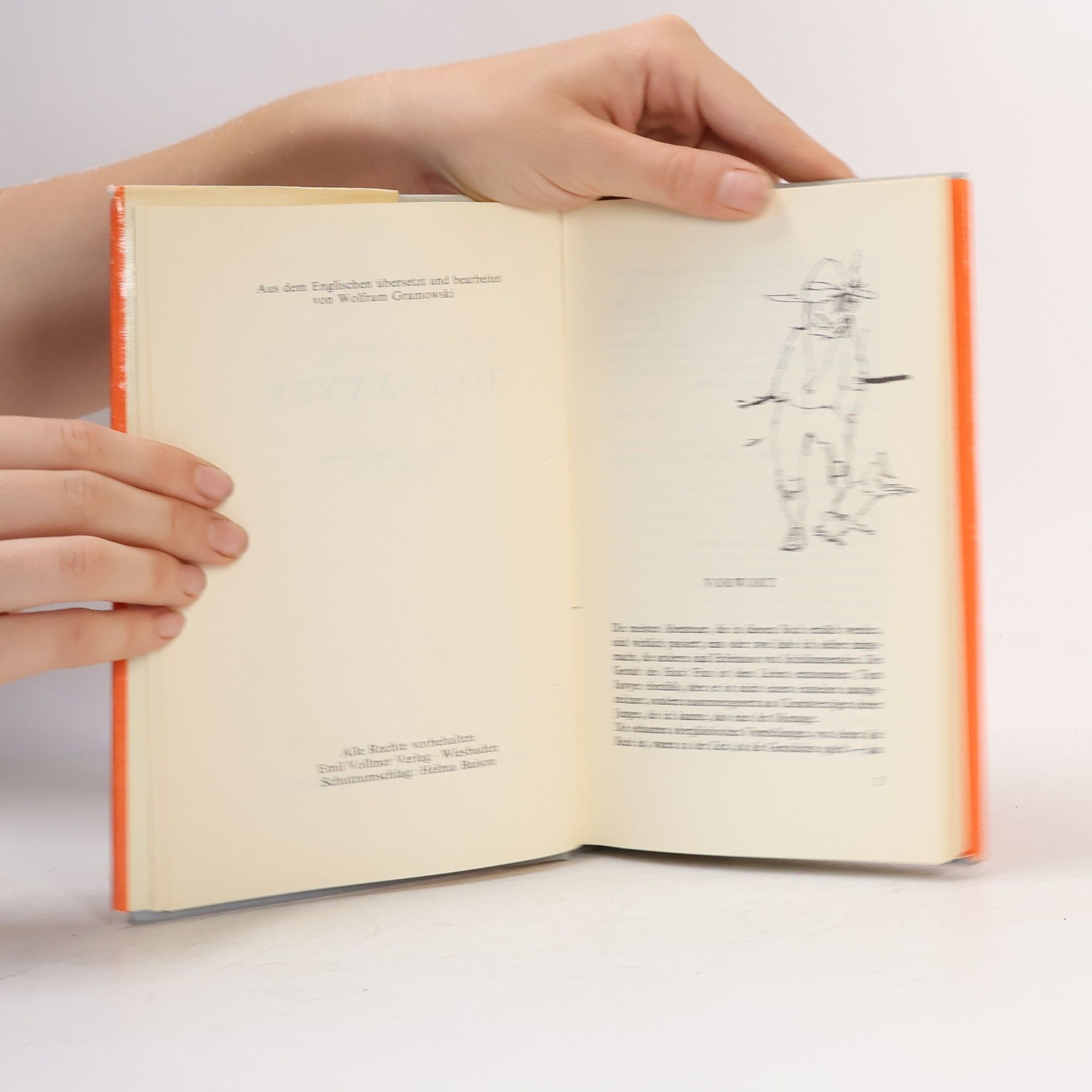 Mark Twain Die Abenteuer des Tom Sawyer
