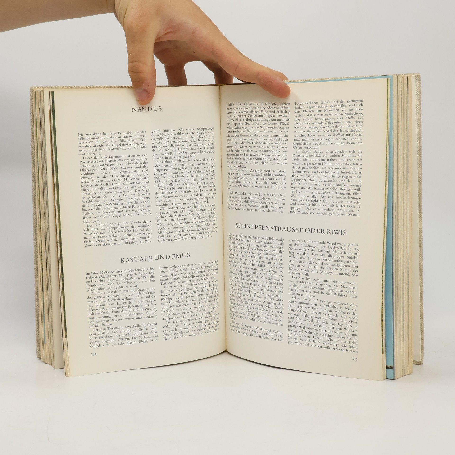 Collectif d'auteurs Der farbige Brehm