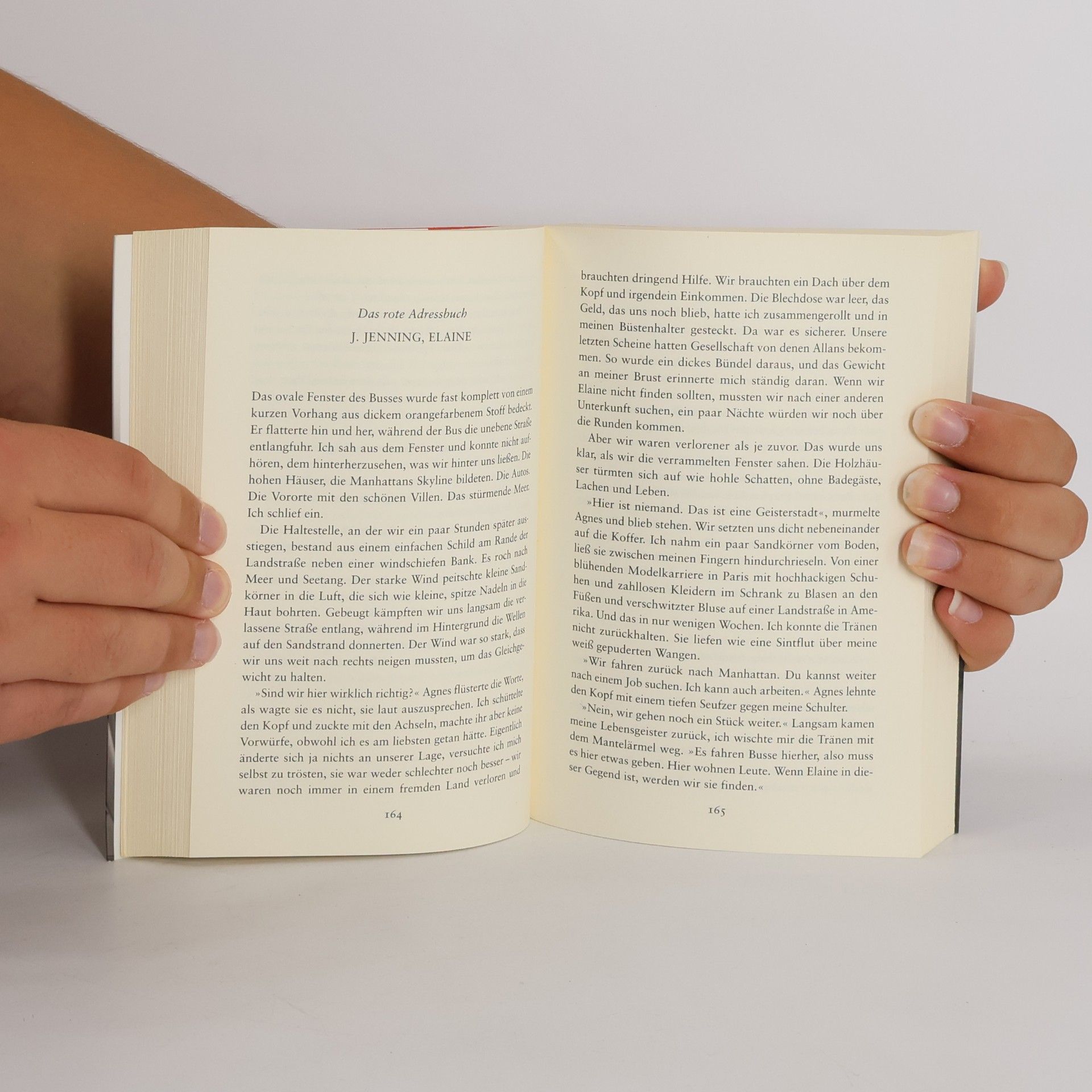 Sofia Lundberg Das rote Adressbuch