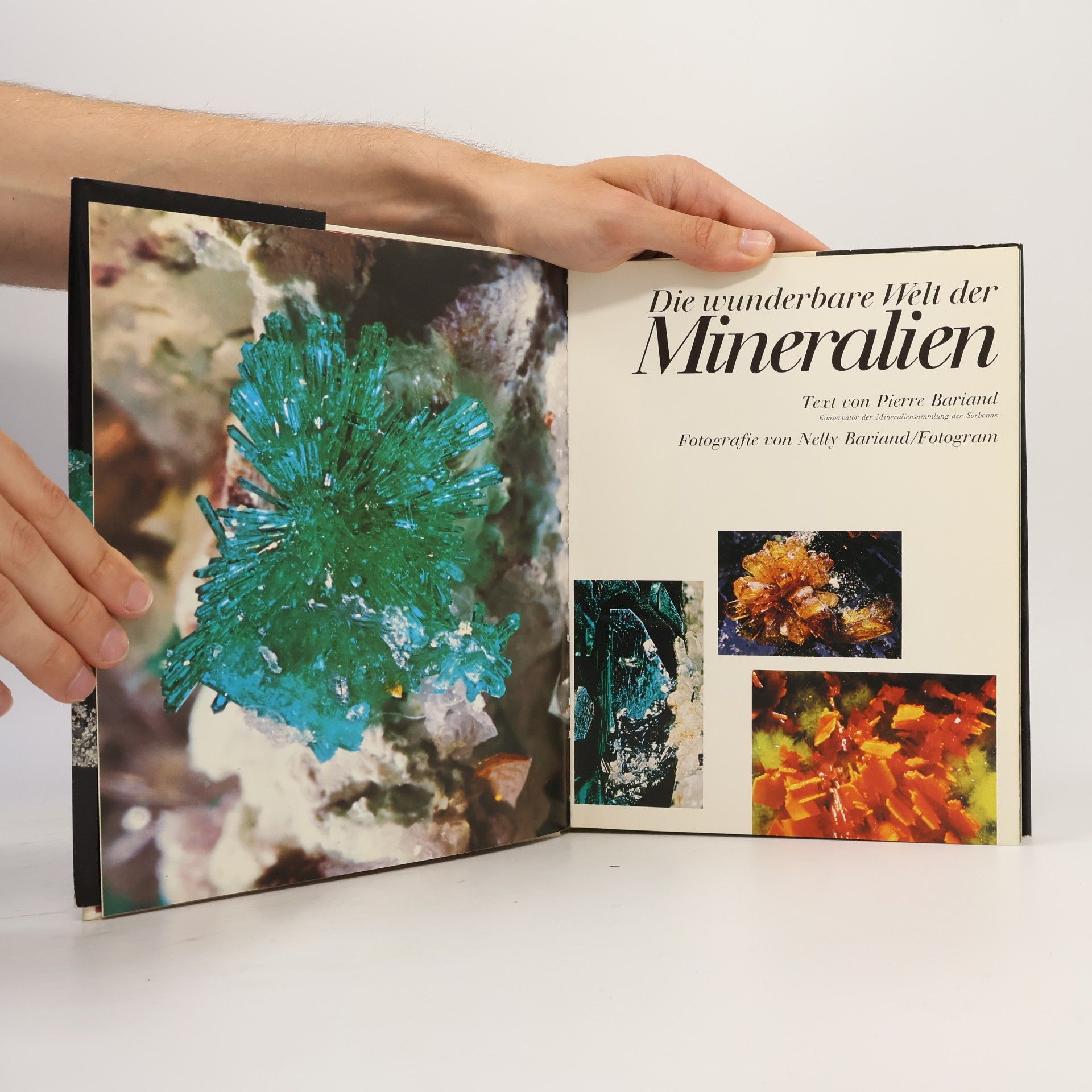 Kolektív autorov Die wunderbare Welt der Mineralien