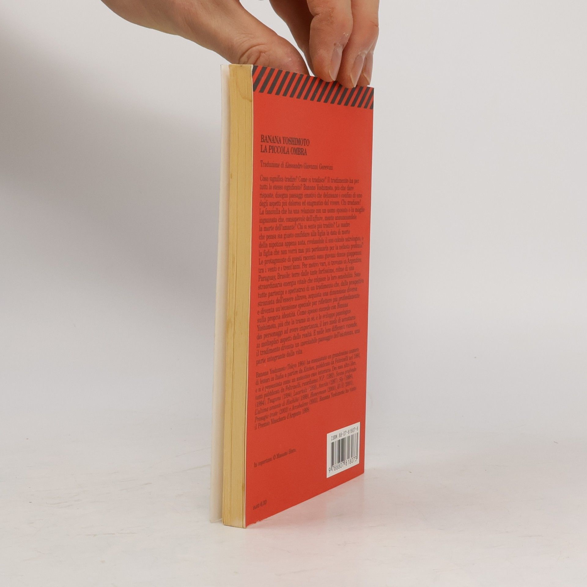 Banana Yoshimoto La piccola ombra