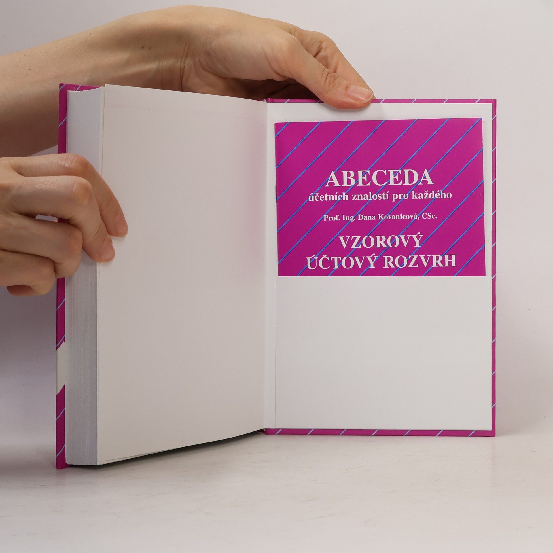 Dana Kovanicová Abeceda účetních znalostí pro každého
