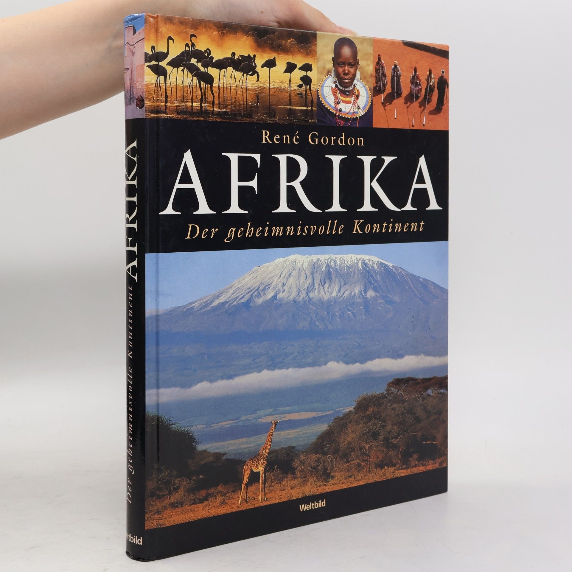 Rene Gordon Afrika