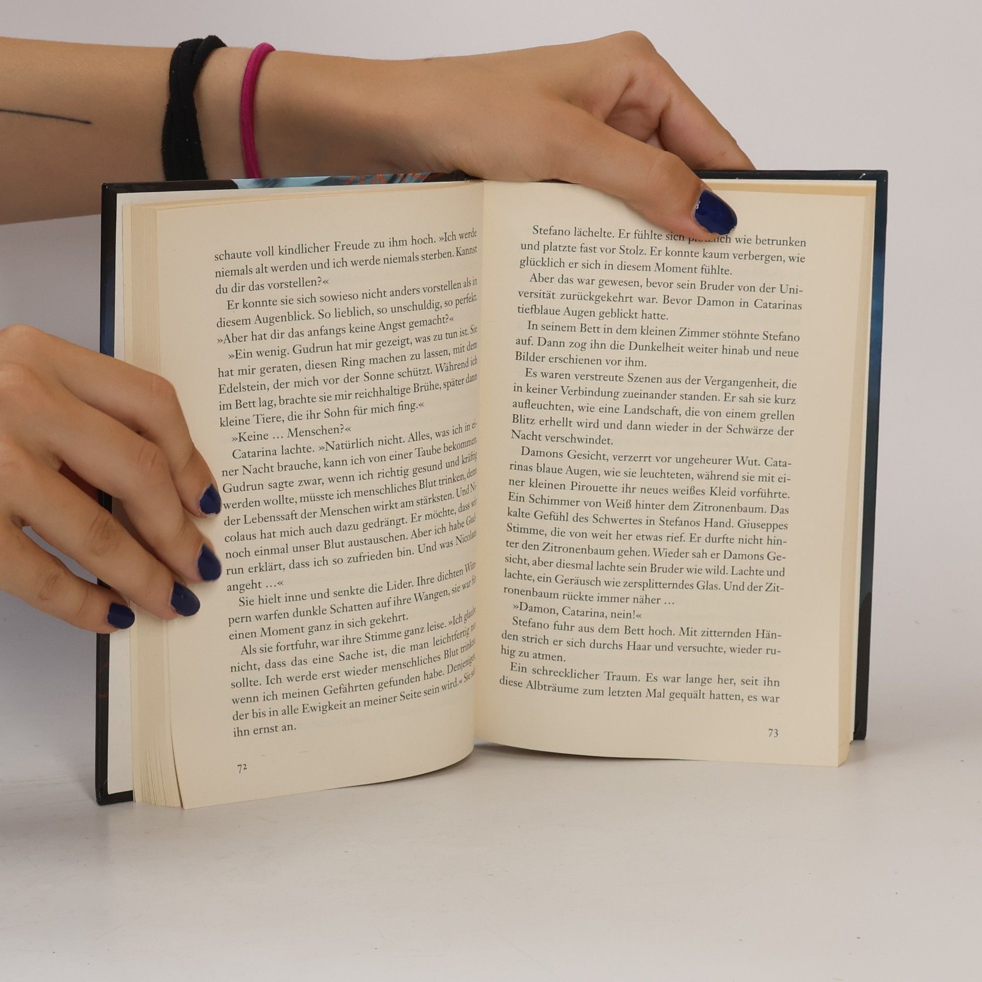 L. J. Smithová Tagebuch eines Vampirs 1. Im Zwielicht