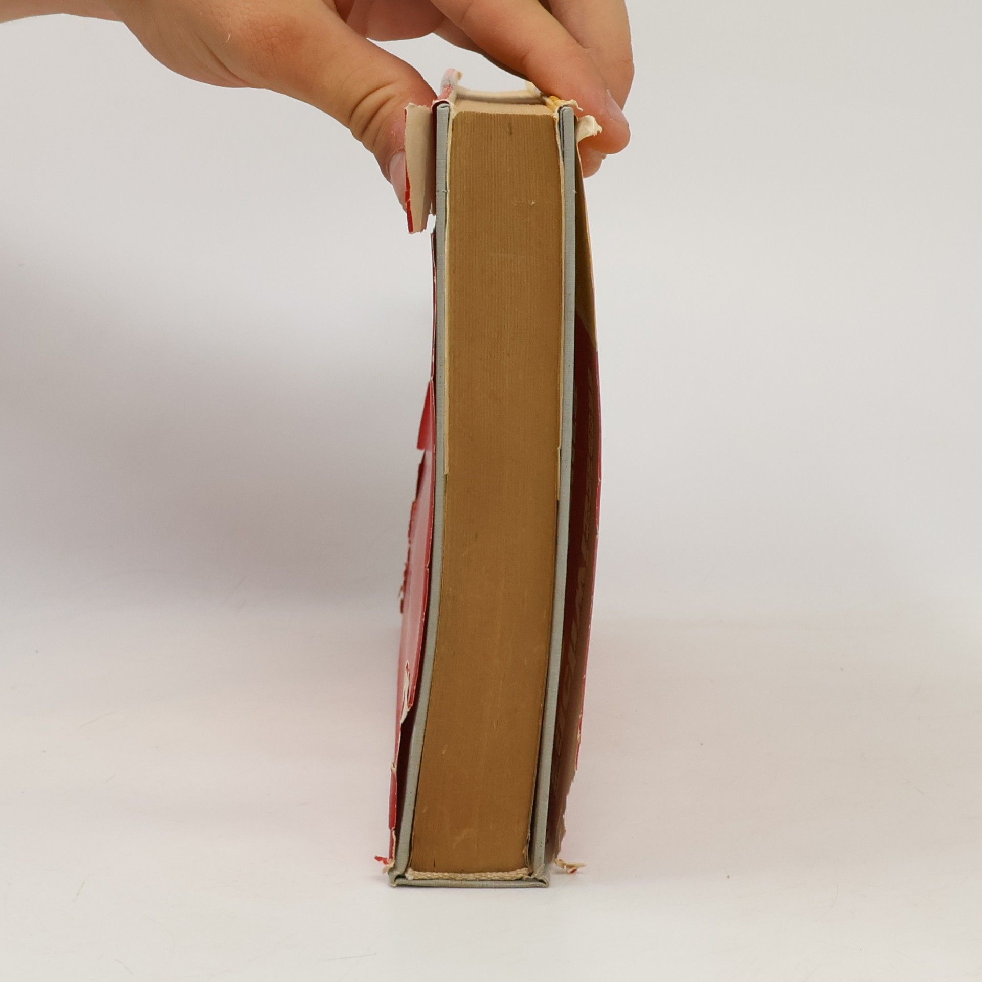 Various authors Fachwissen des Ingenieurs 8