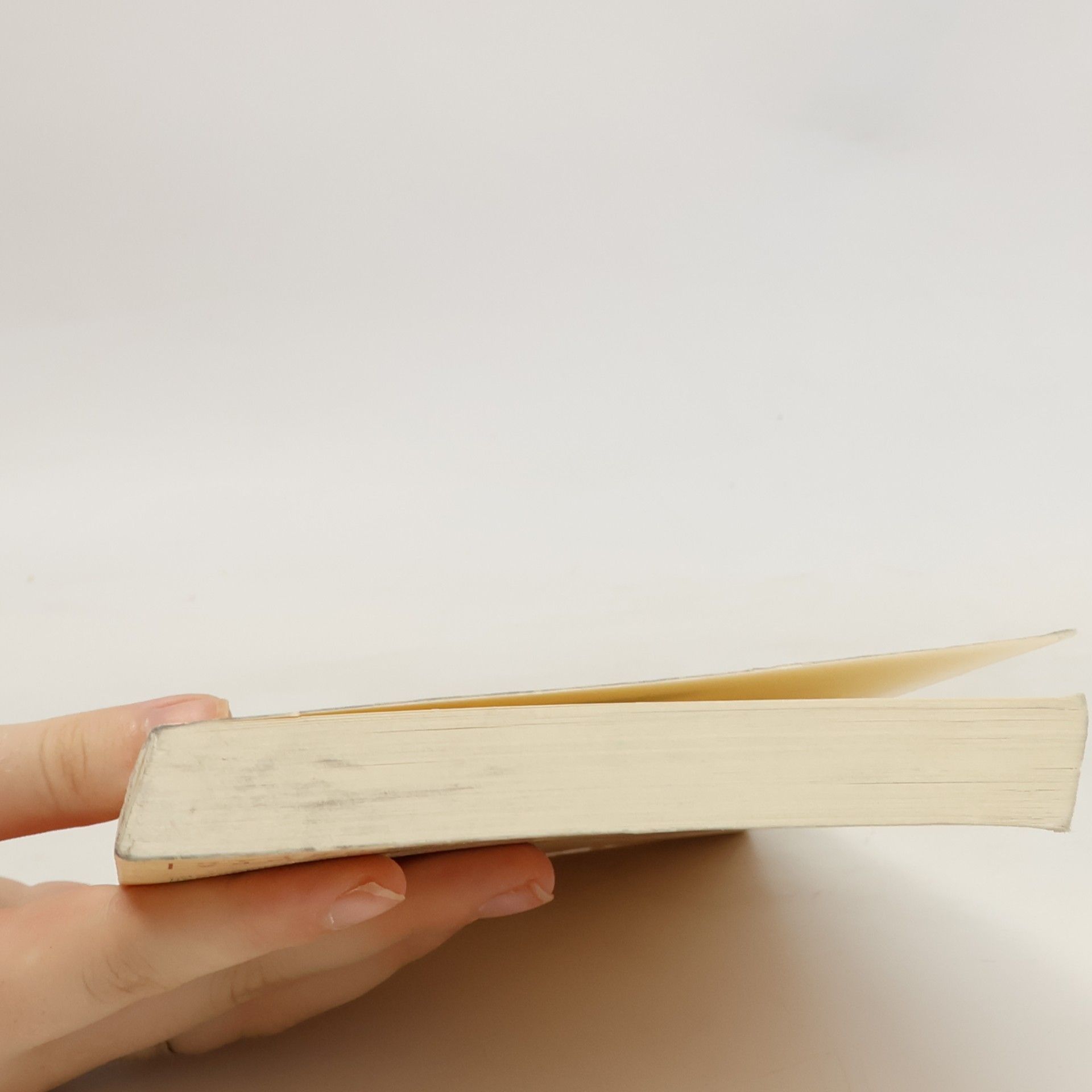 Wolfgang Günter Lerch Der Kaukasus: Nationalitäten, Religionen und Großmächte im Widerstreit