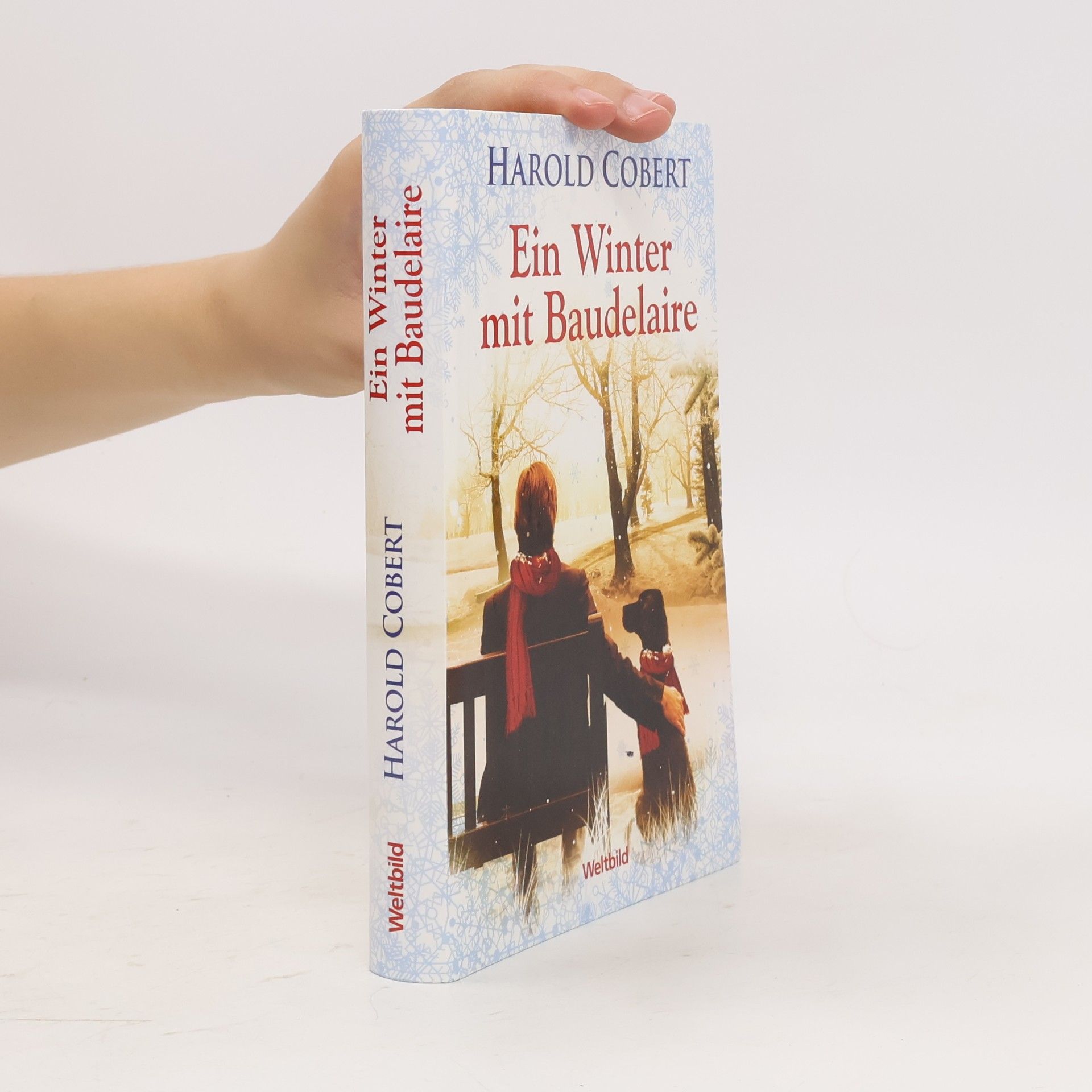 Harold Cobert Ein Winter mit Baudelaire