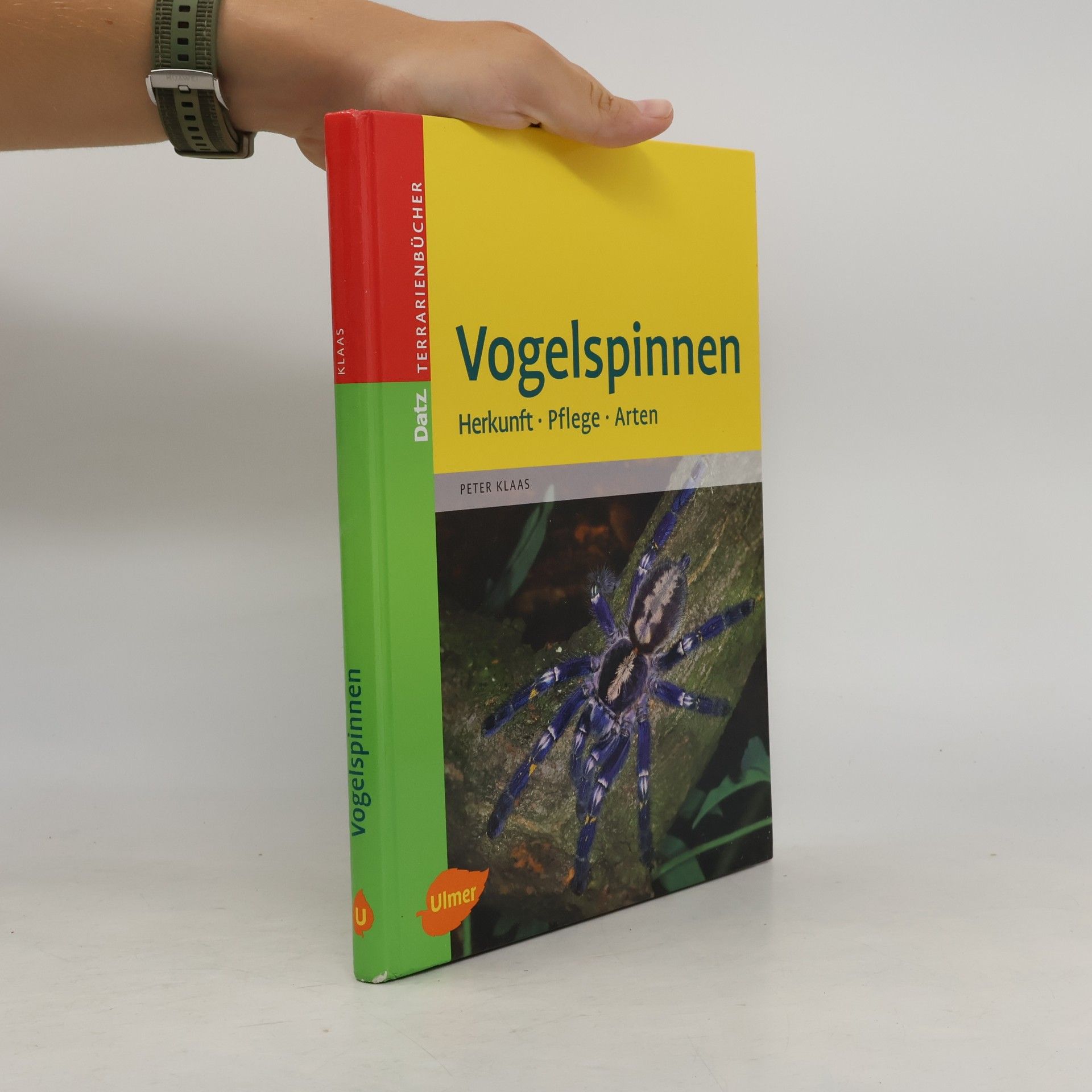 Peter Klaas Vogelspinnen