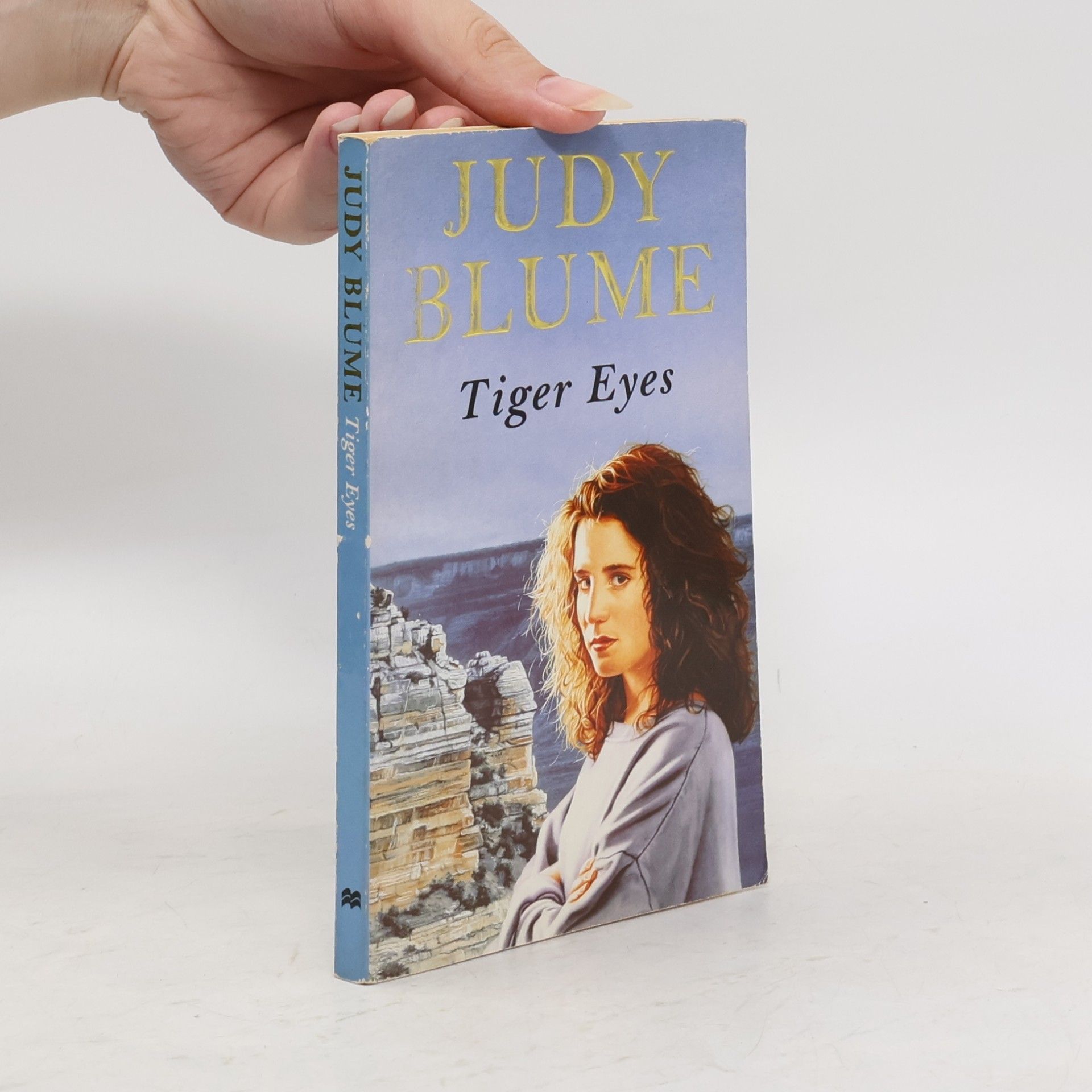 Judy Blume Tiger Eyes