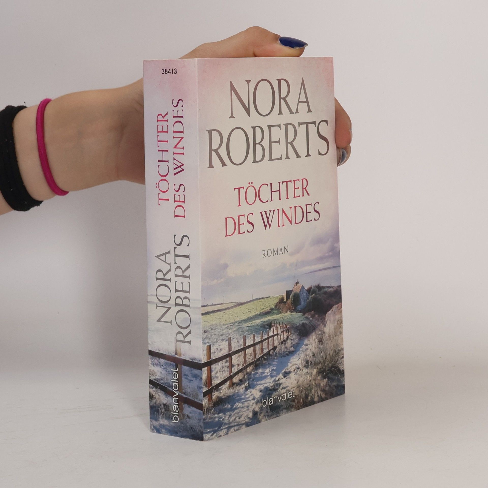 Nora Roberts Töchter des Windes