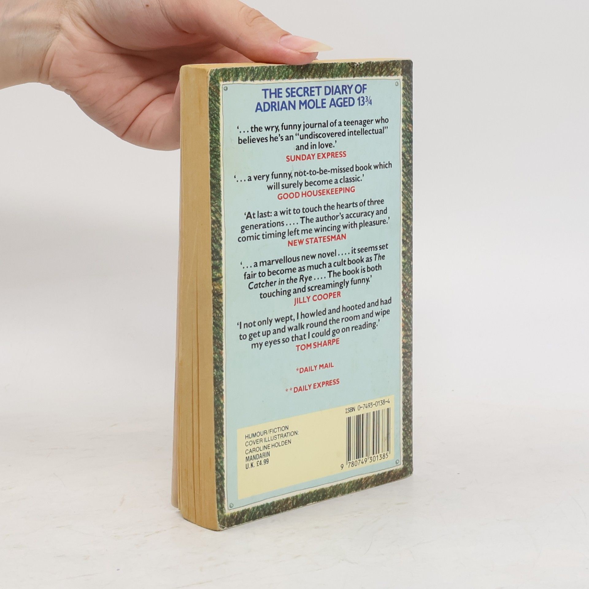 Sue Townsend The Secret Diary of Adrian Mole Aged 13 3/4