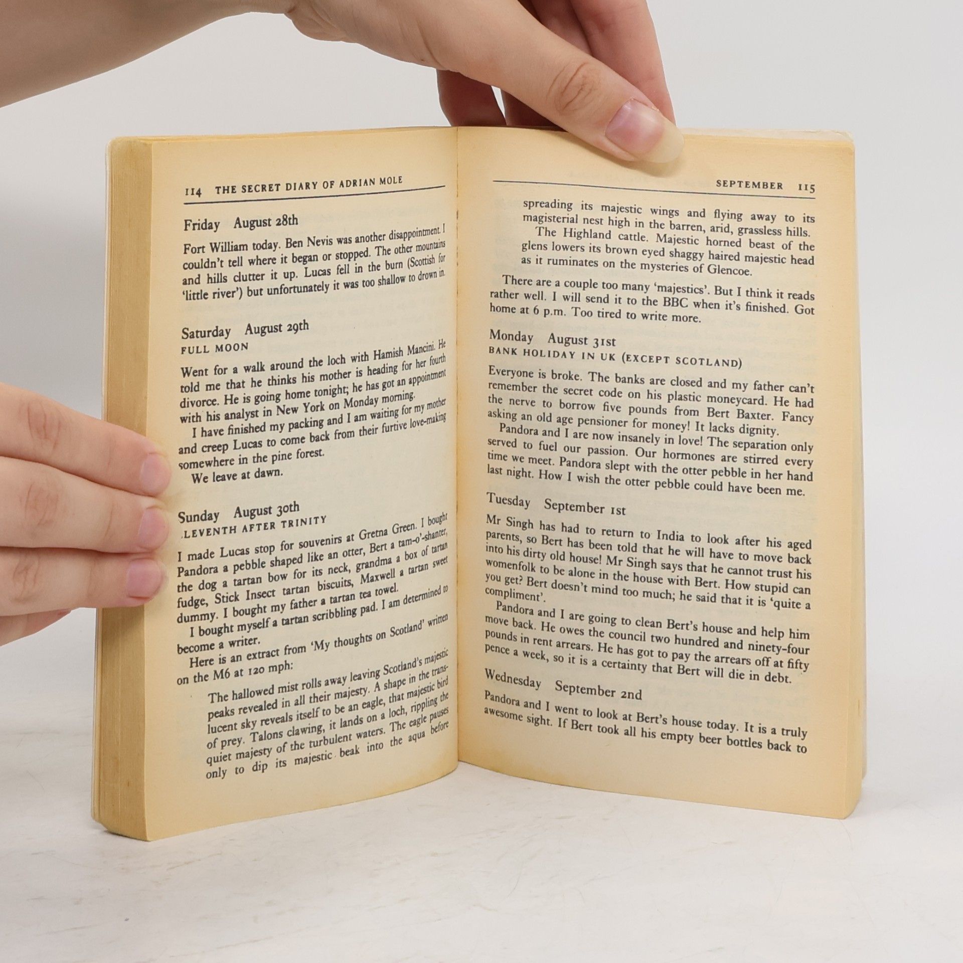 Sue Townsend The Secret Diary of Adrian Mole Aged 13 3/4