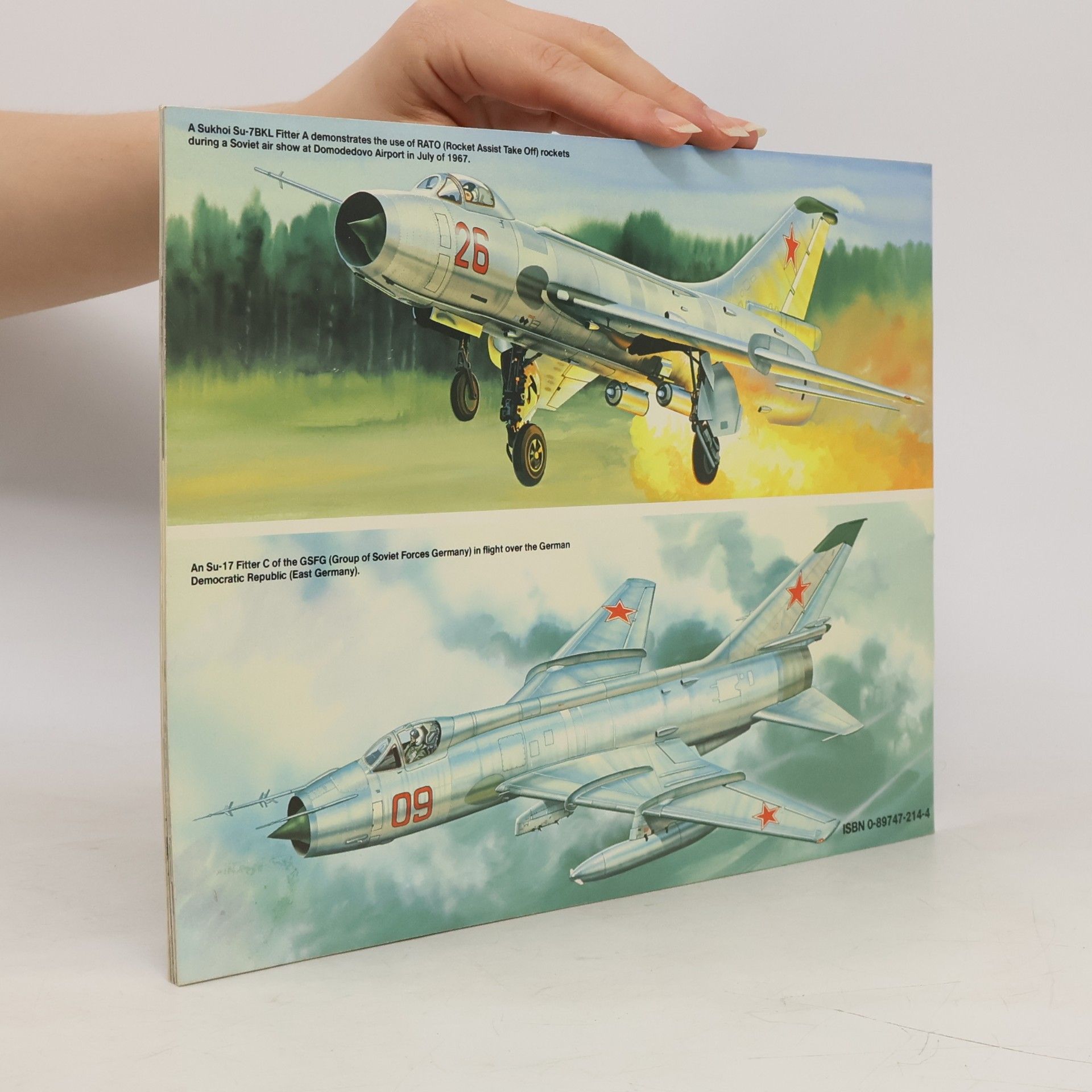 Don Greer Aircraft Number - 90: Sukhoi Fitters in Action