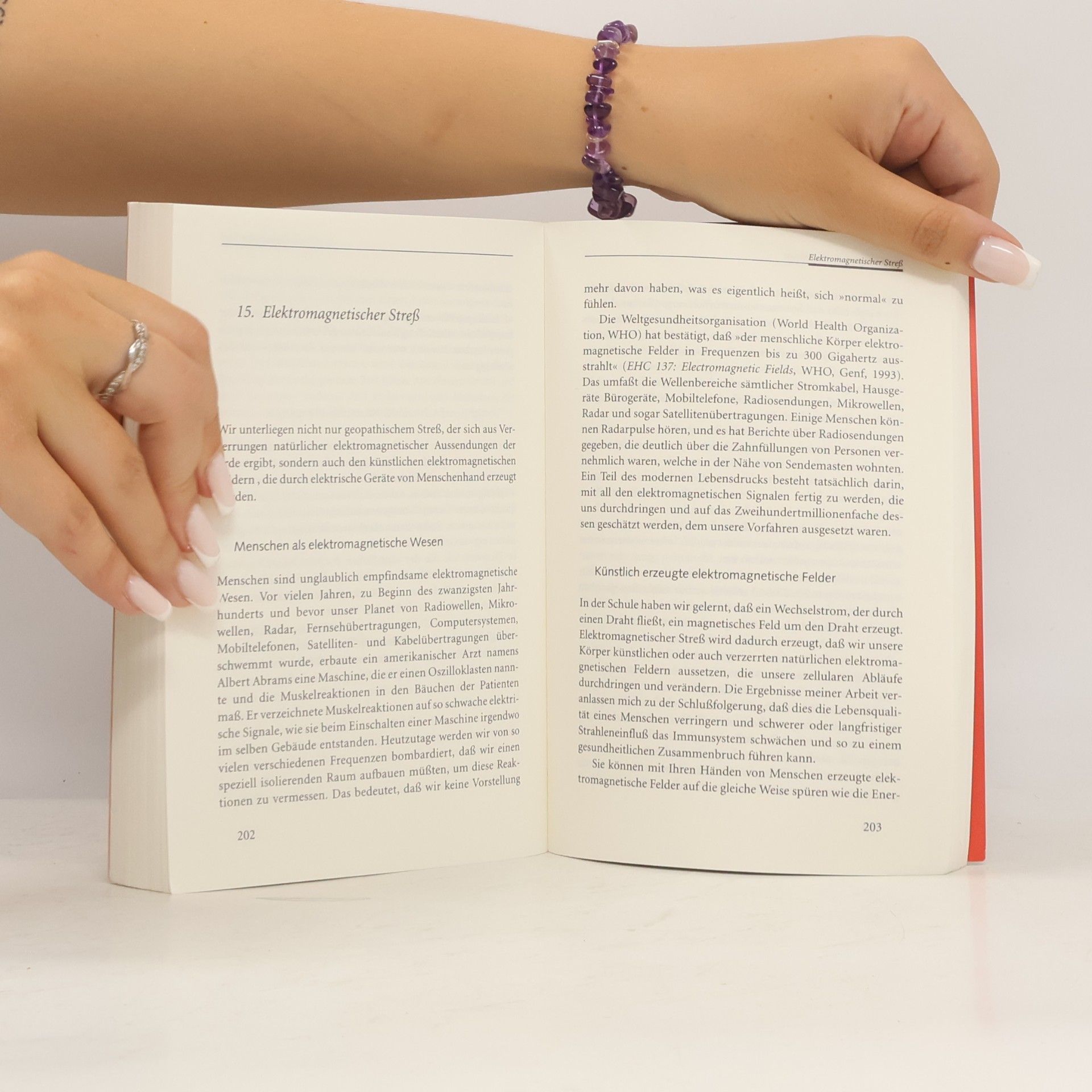 Karen Kingston Heilige Orte erschaffen mit Feng-Shui