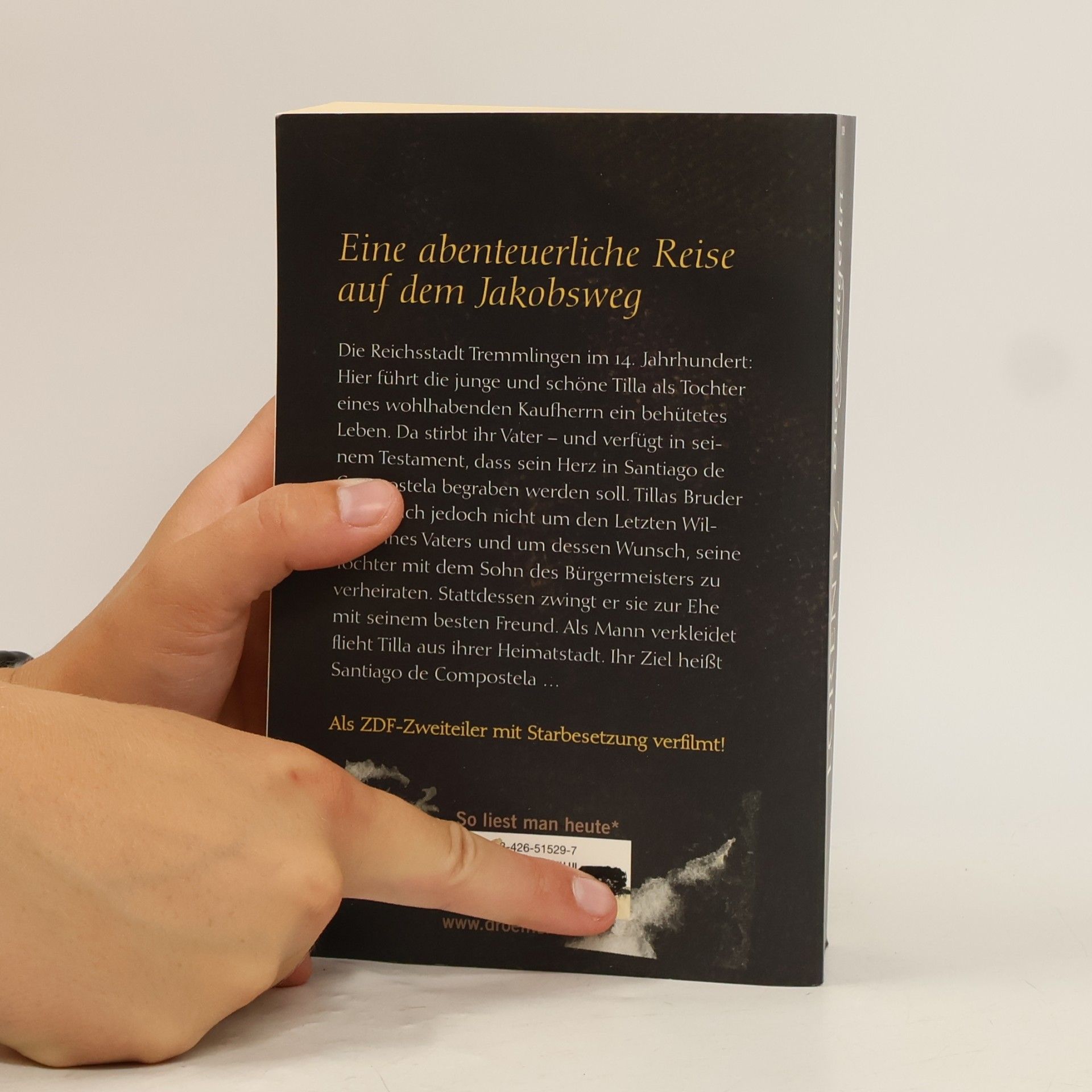 Iny Lorentz Die Pilgerin