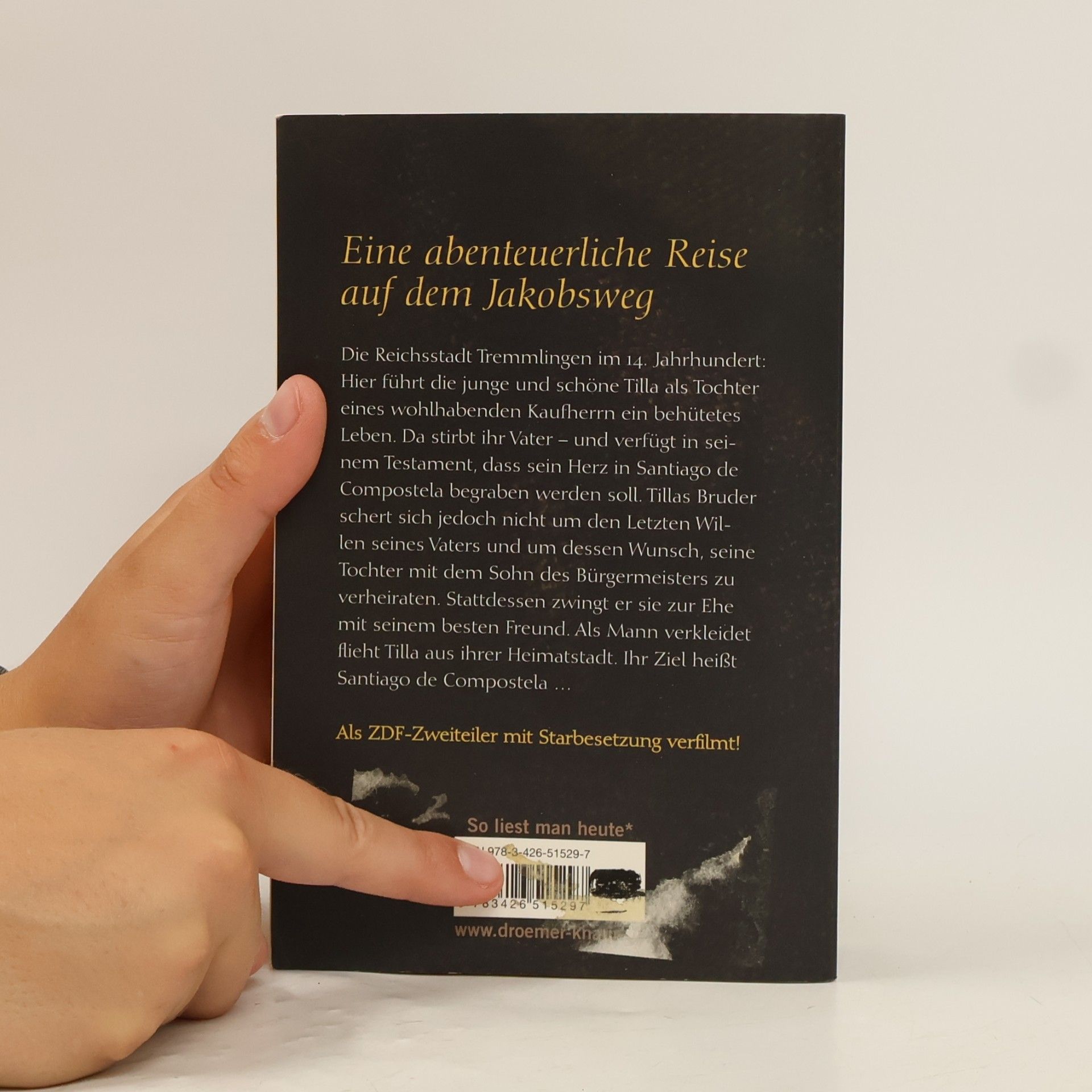 Iny Lorentz Die Pilgerin
