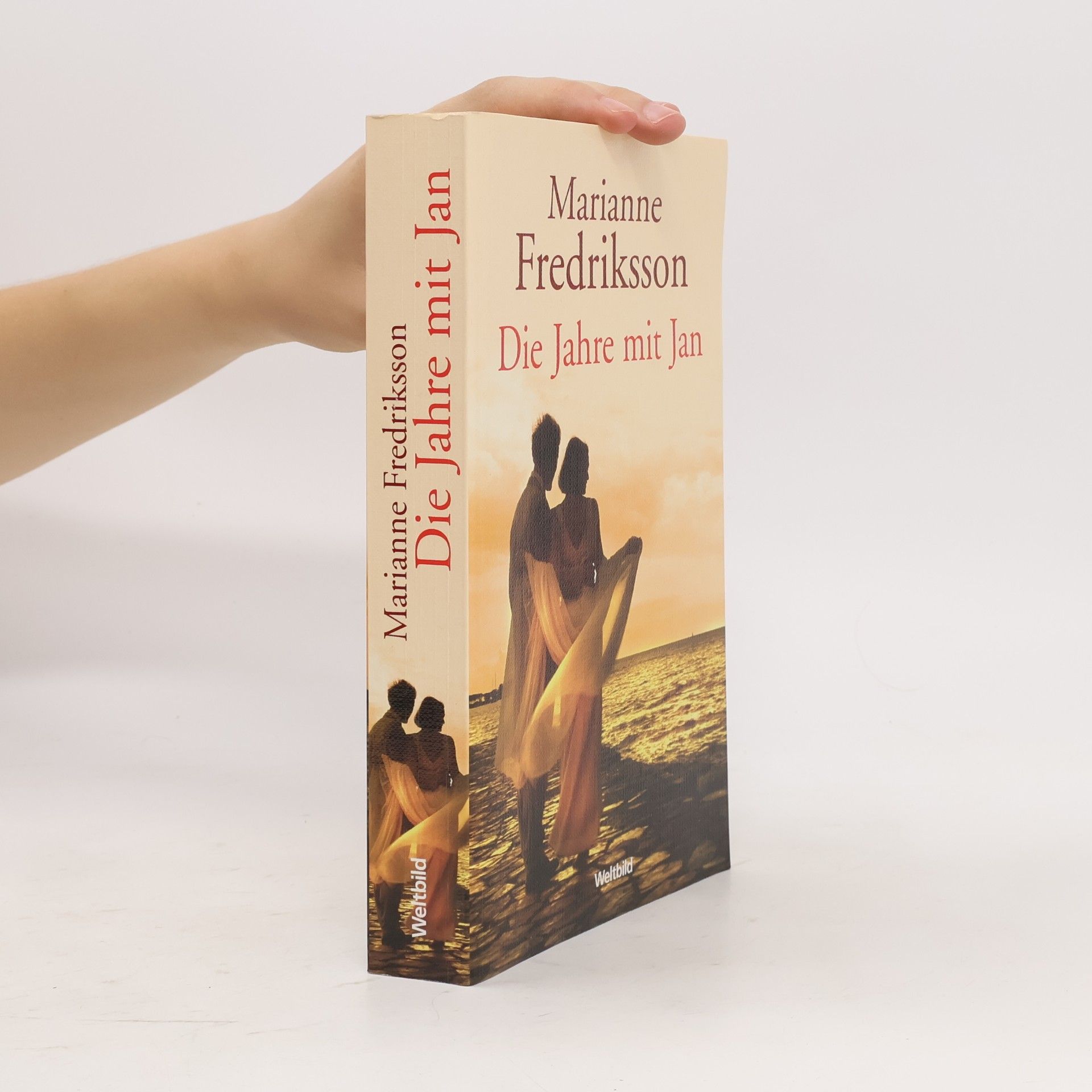 Marianne Fredriksson Die Jahre mit Jan
