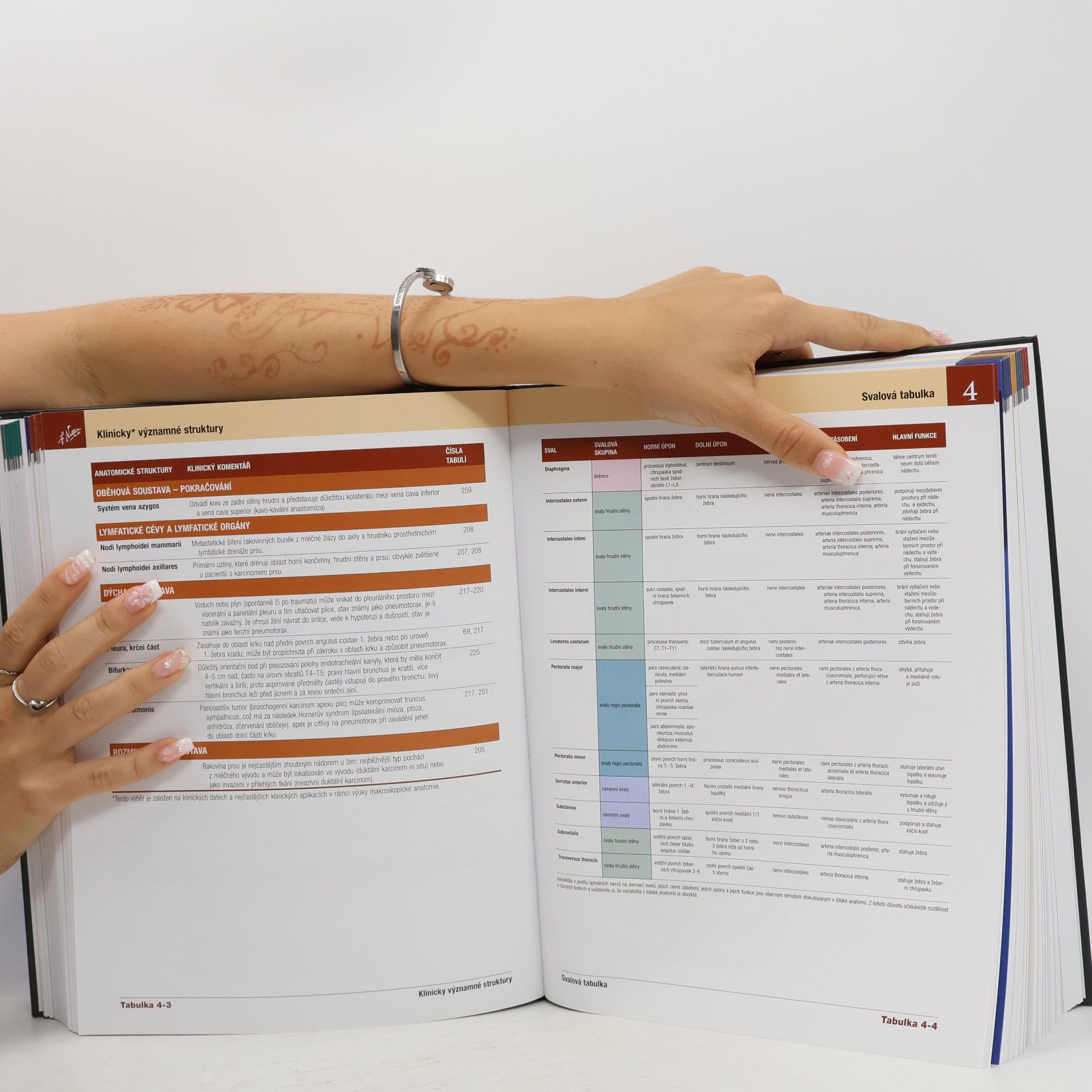 Frank H. Netter Netterův anatomický atlas člověka: Překlad 8. vydání