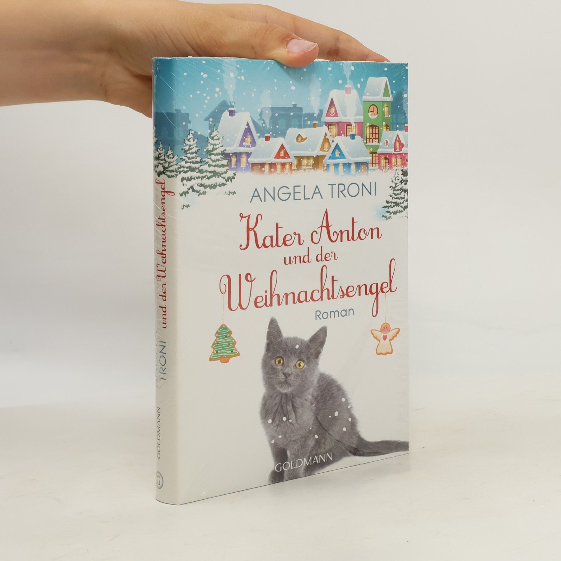 Angela Troni Kater Anton und der Weihnachtsengel