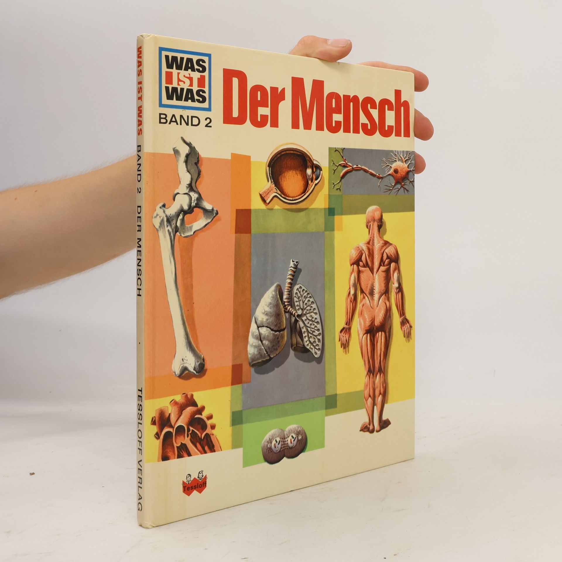 Signe Seiler Der Mensch
