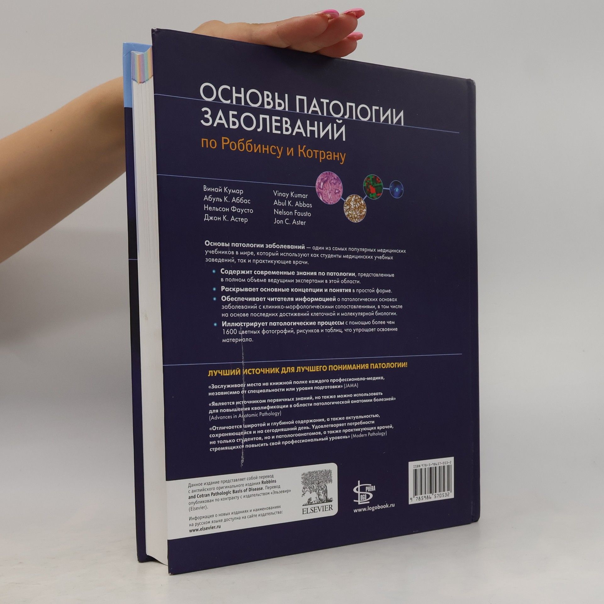 Кумар В. Основы патологии заболеваний по Роббинсу и Котрану