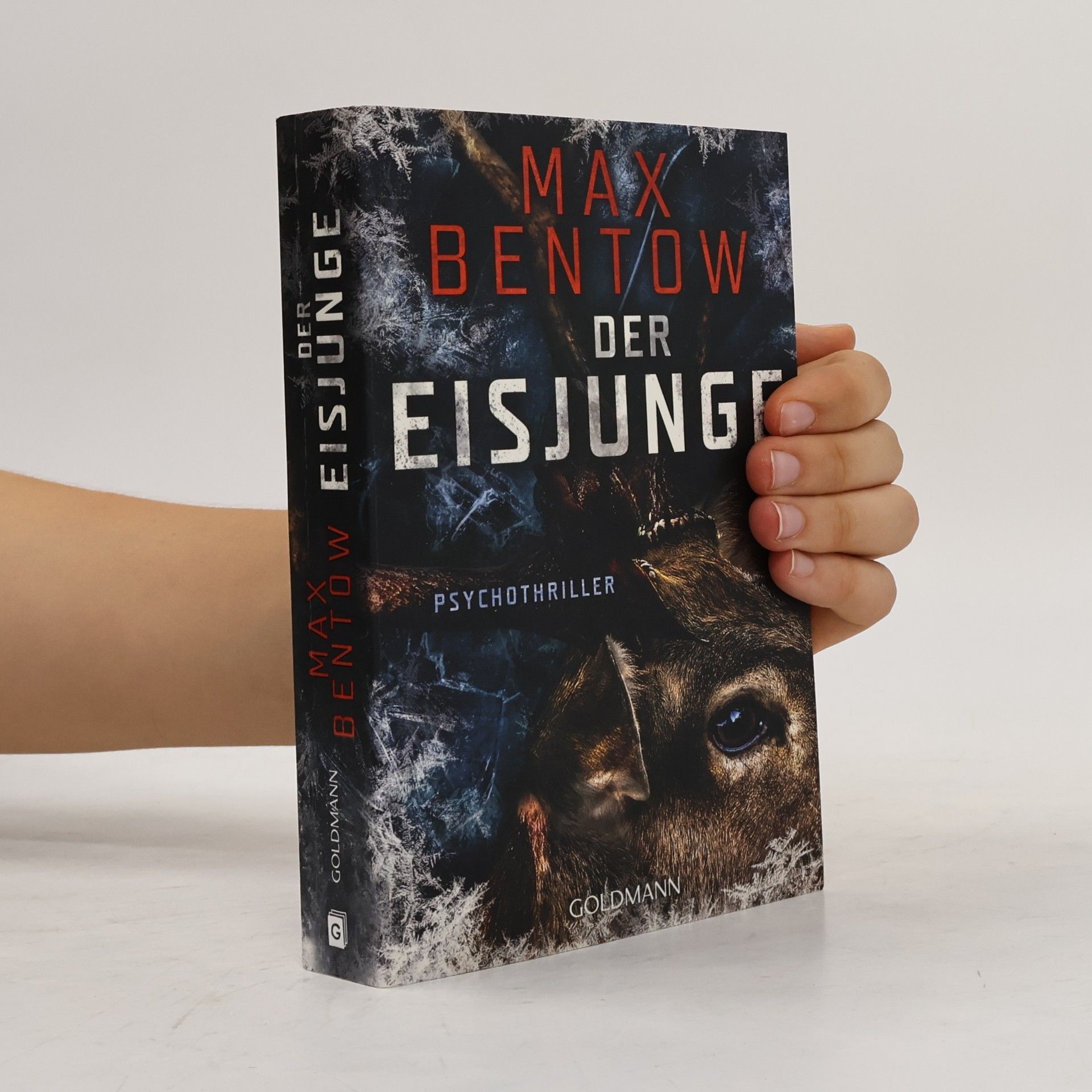 Max Bentow Der Eisjunge