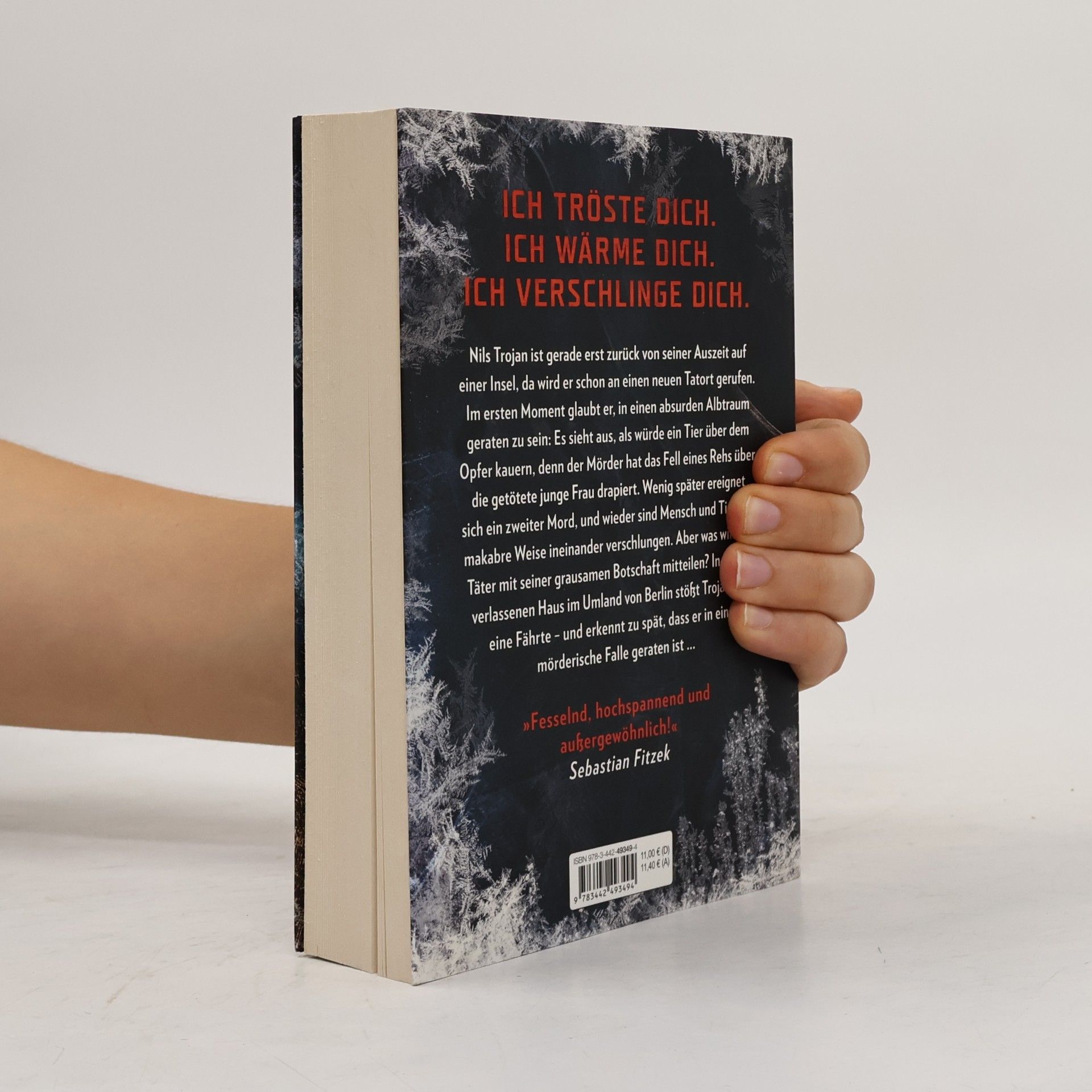 Max Bentow Der Eisjunge
