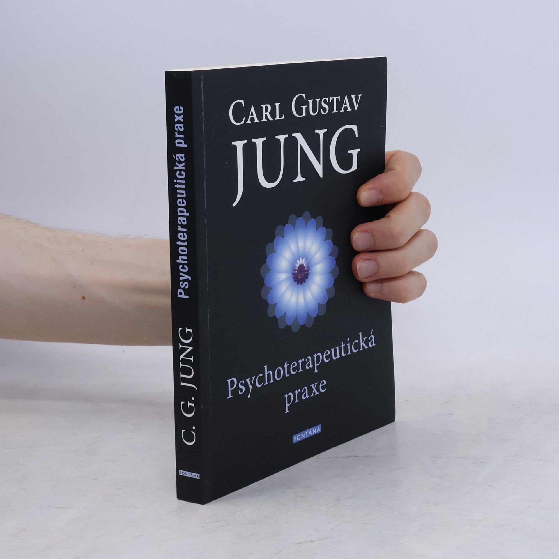 Carl Gustav Jung Psychoterapeutická praxe : příspěvky k problému psychoterapie a psychologie přenosu