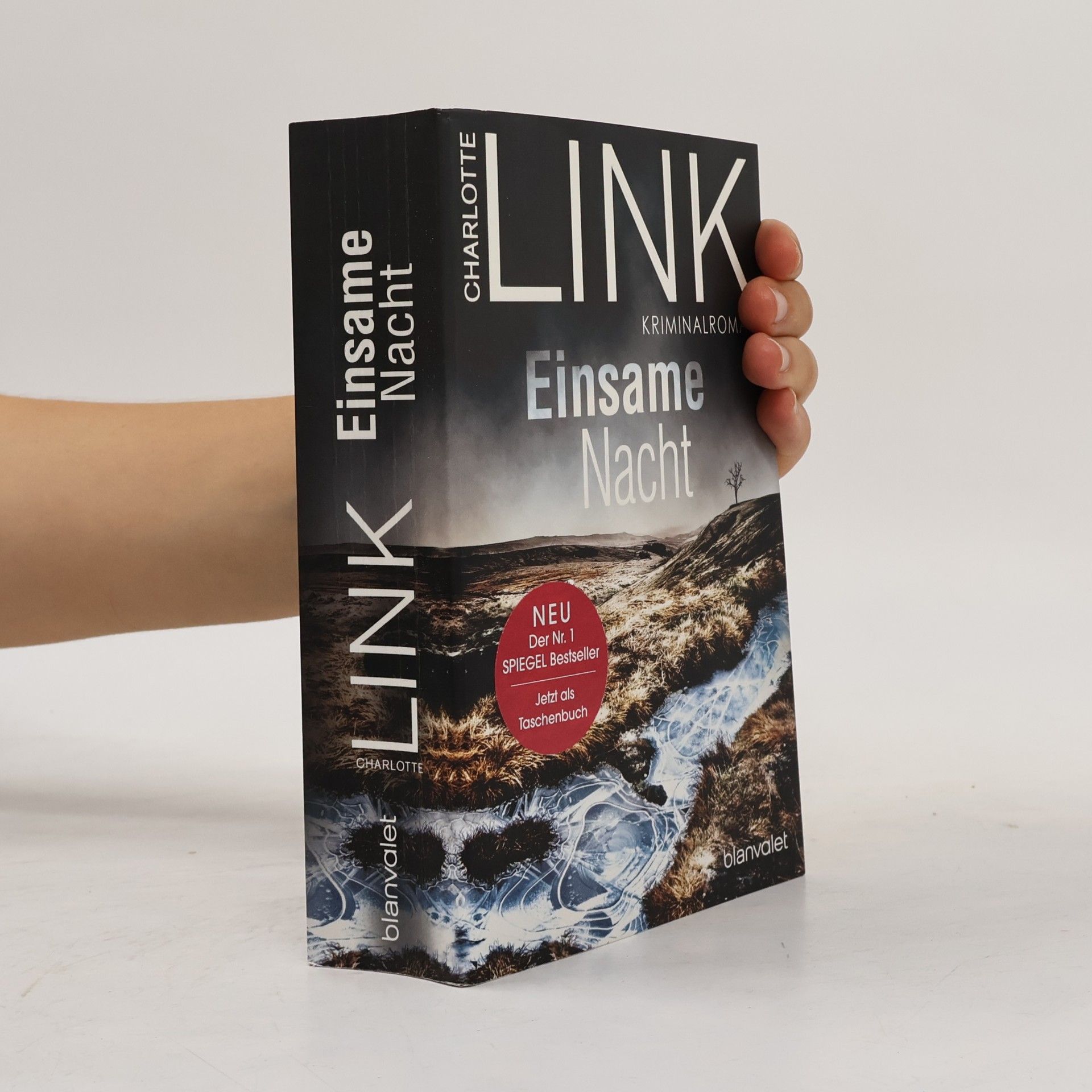 Charlotte Link Einsame Nacht