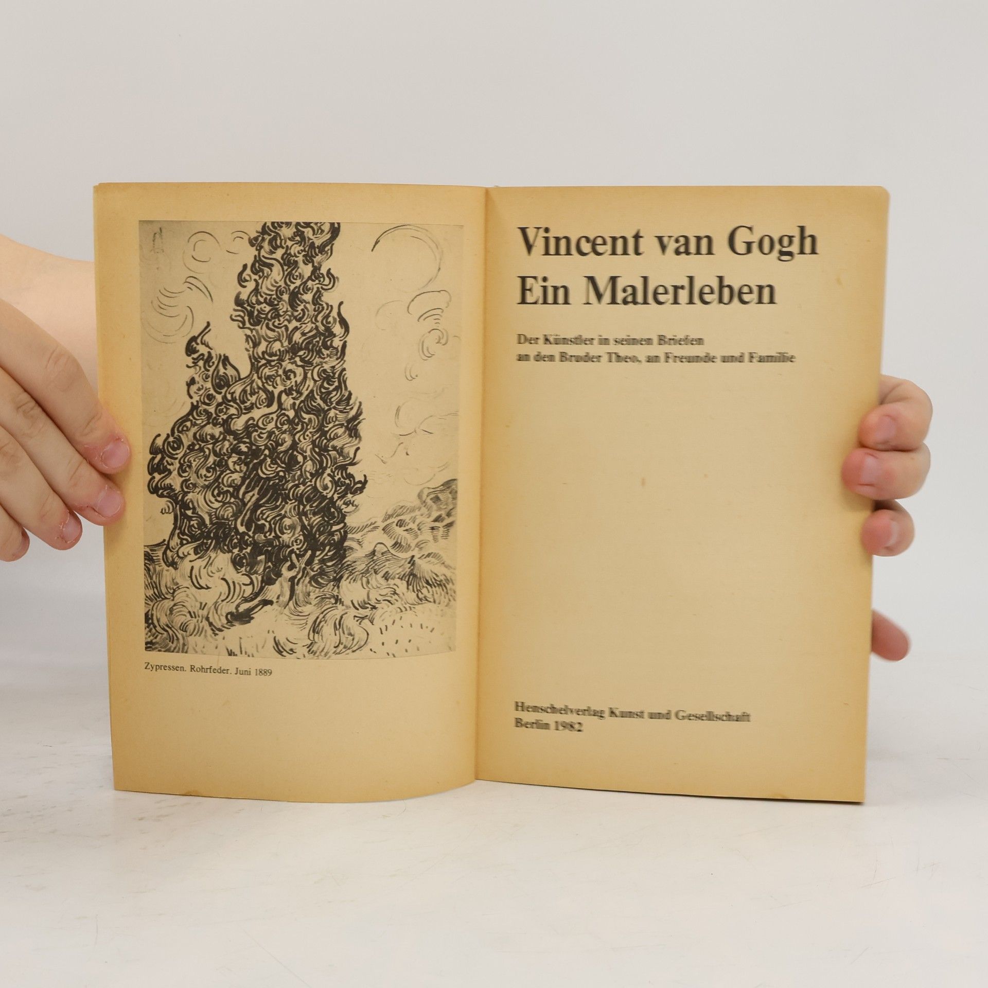 Vincent van Gogh Vincent van Gogh. Ein Malerleben