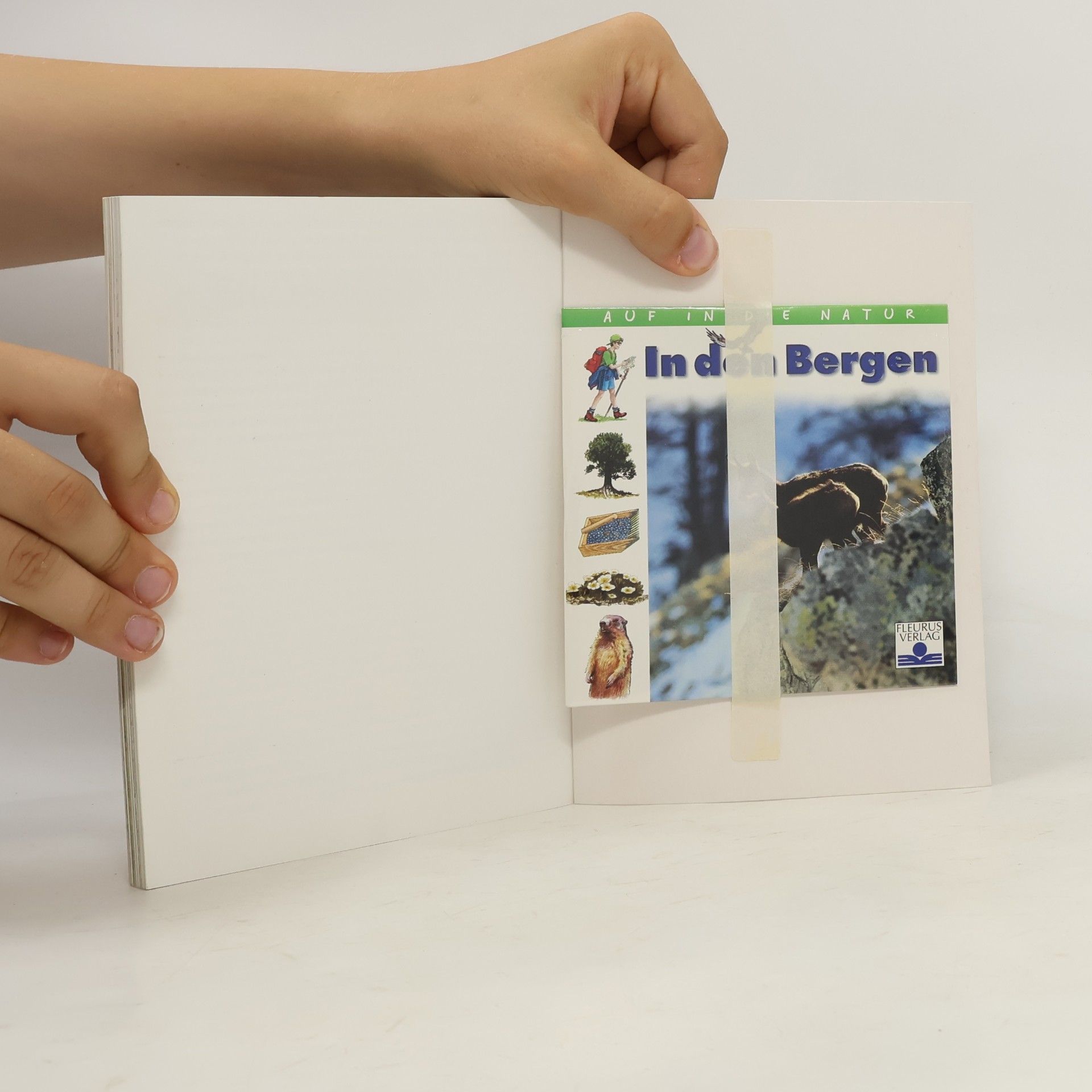Laurence Ottenheimer Maquet In den Bergen