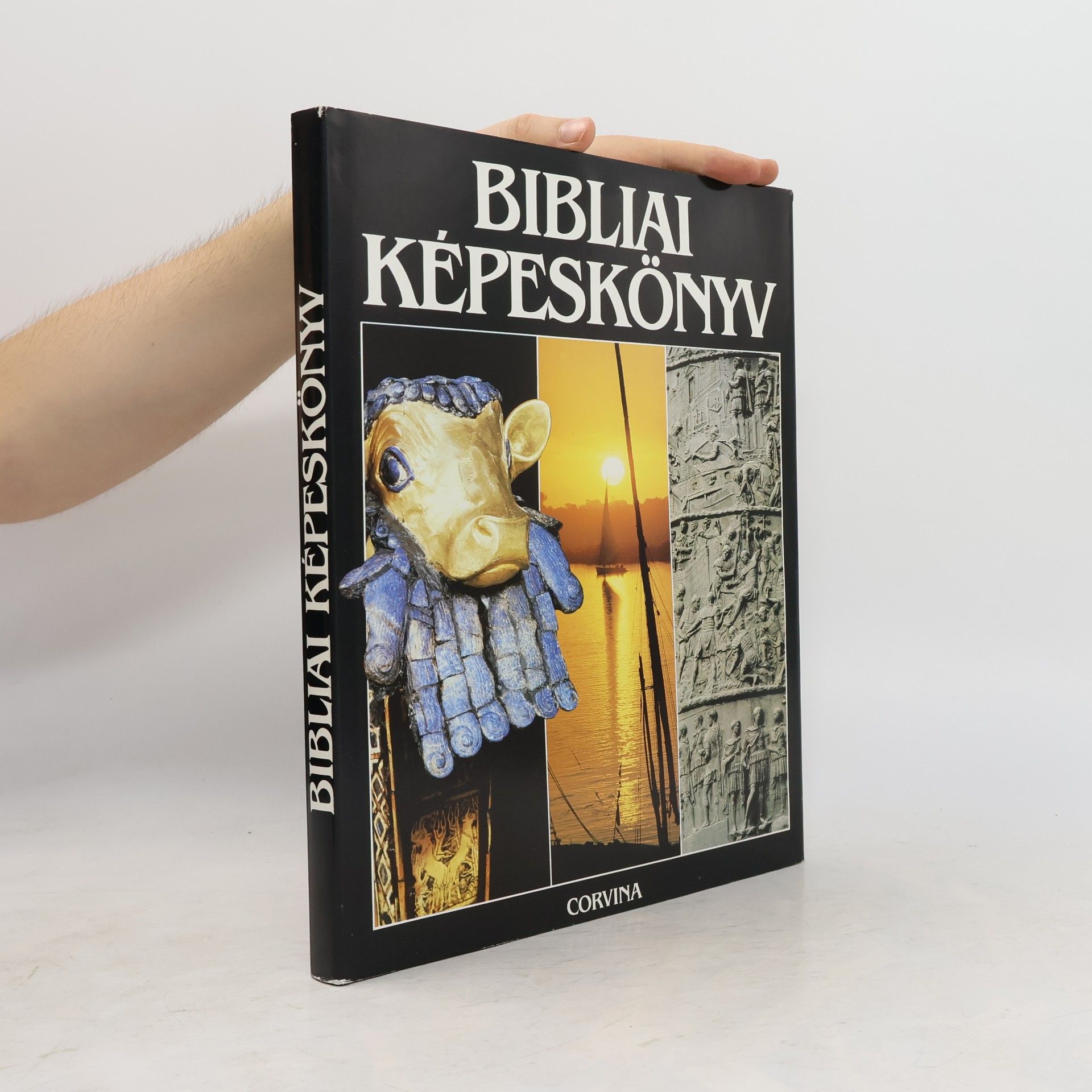 Alexander Pat Bibliai képeskönyv