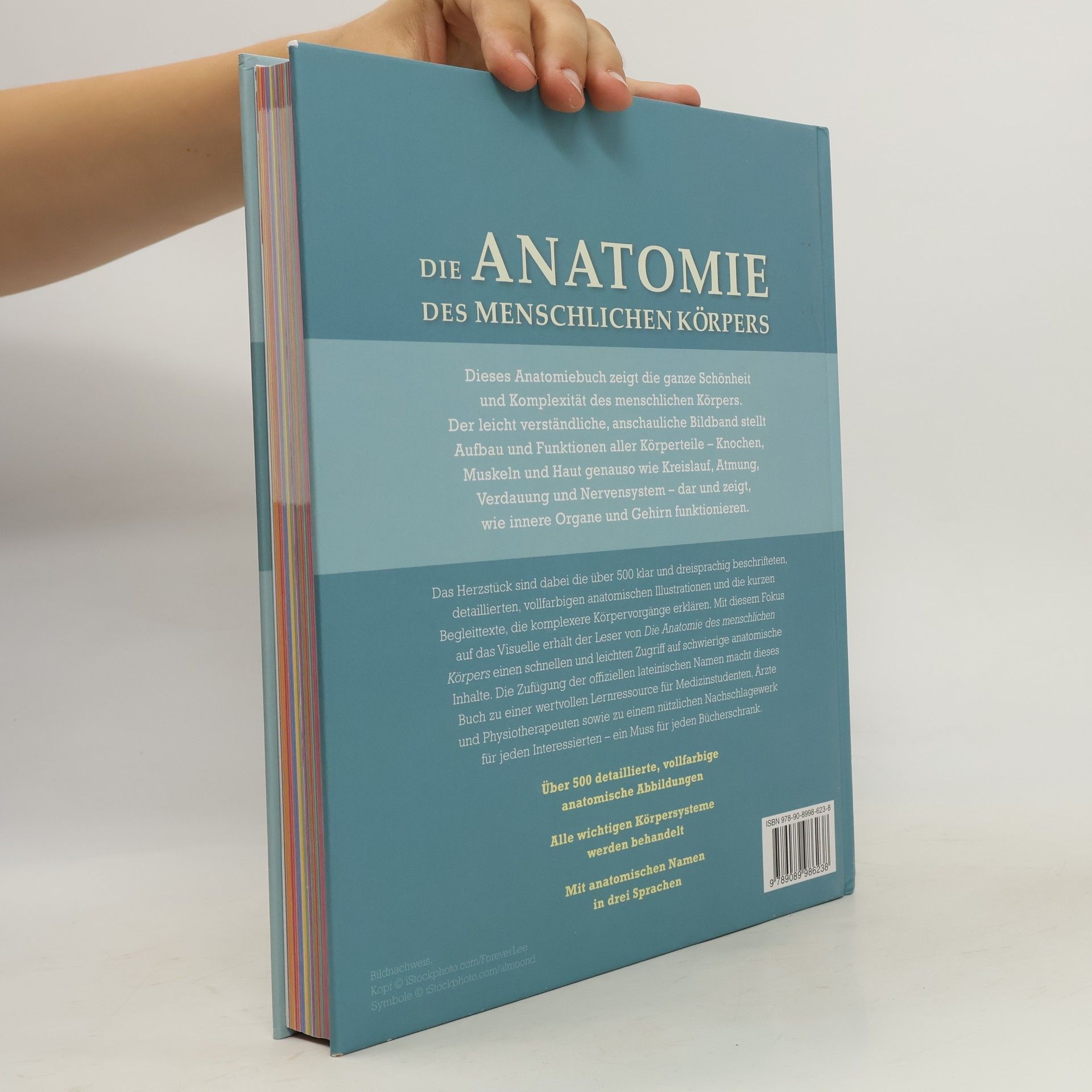 Ken Ashwell Die Anatomie des menschlichen Körpers
