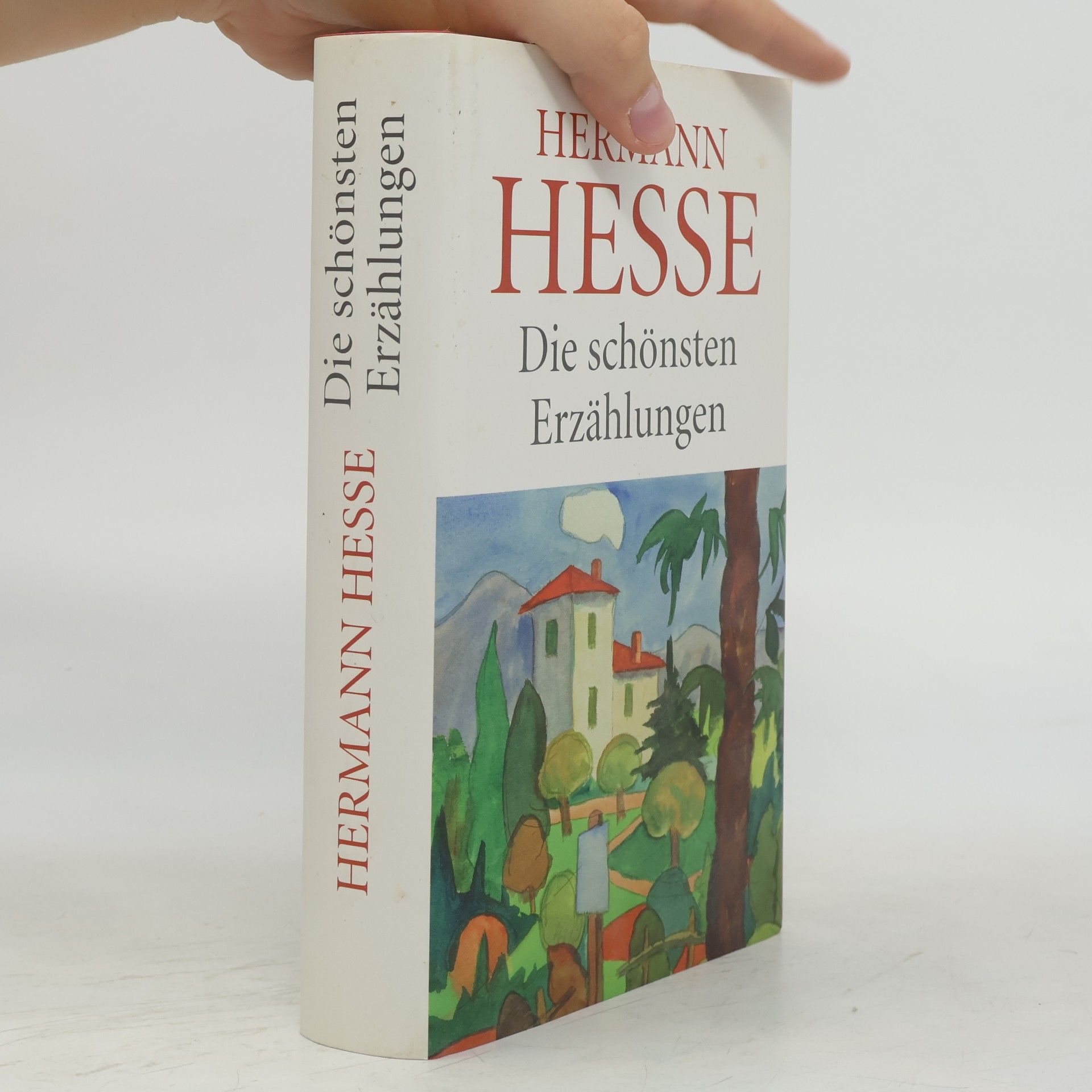 Hermann Hesse Die schönsten Erzählungen